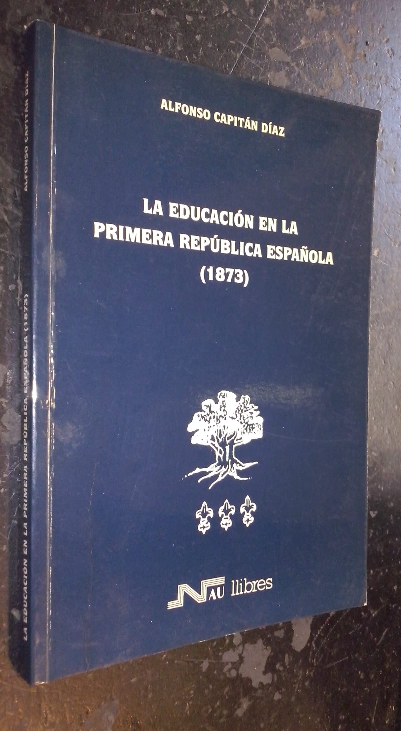Educación en la Primera República española (1873) book