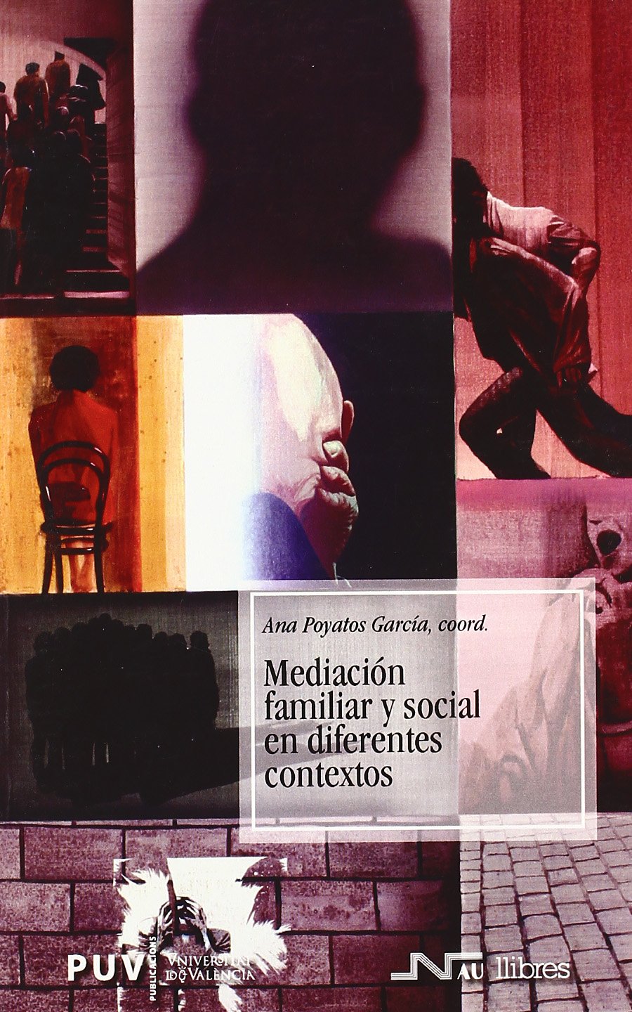 Mediación familiar y social en diferentes contextos (Trabajo Social, Band 2) Social Sciences