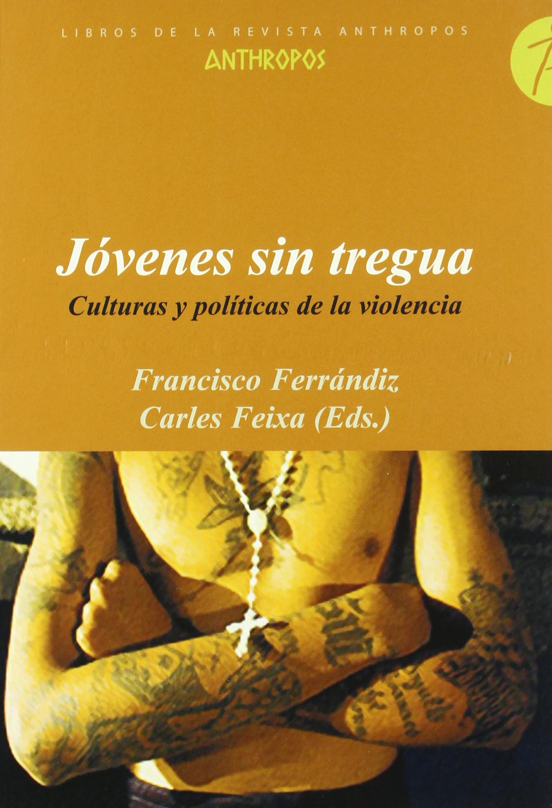 Jóvenes sin tregua : culturas políticas y violencia book