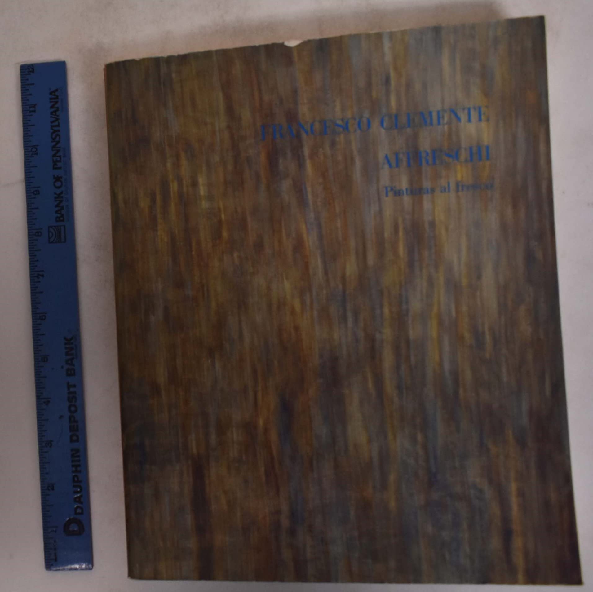 FRANCESCO CLEMENTE AFFRESCHI. PINTURAS AL FRESCO. book