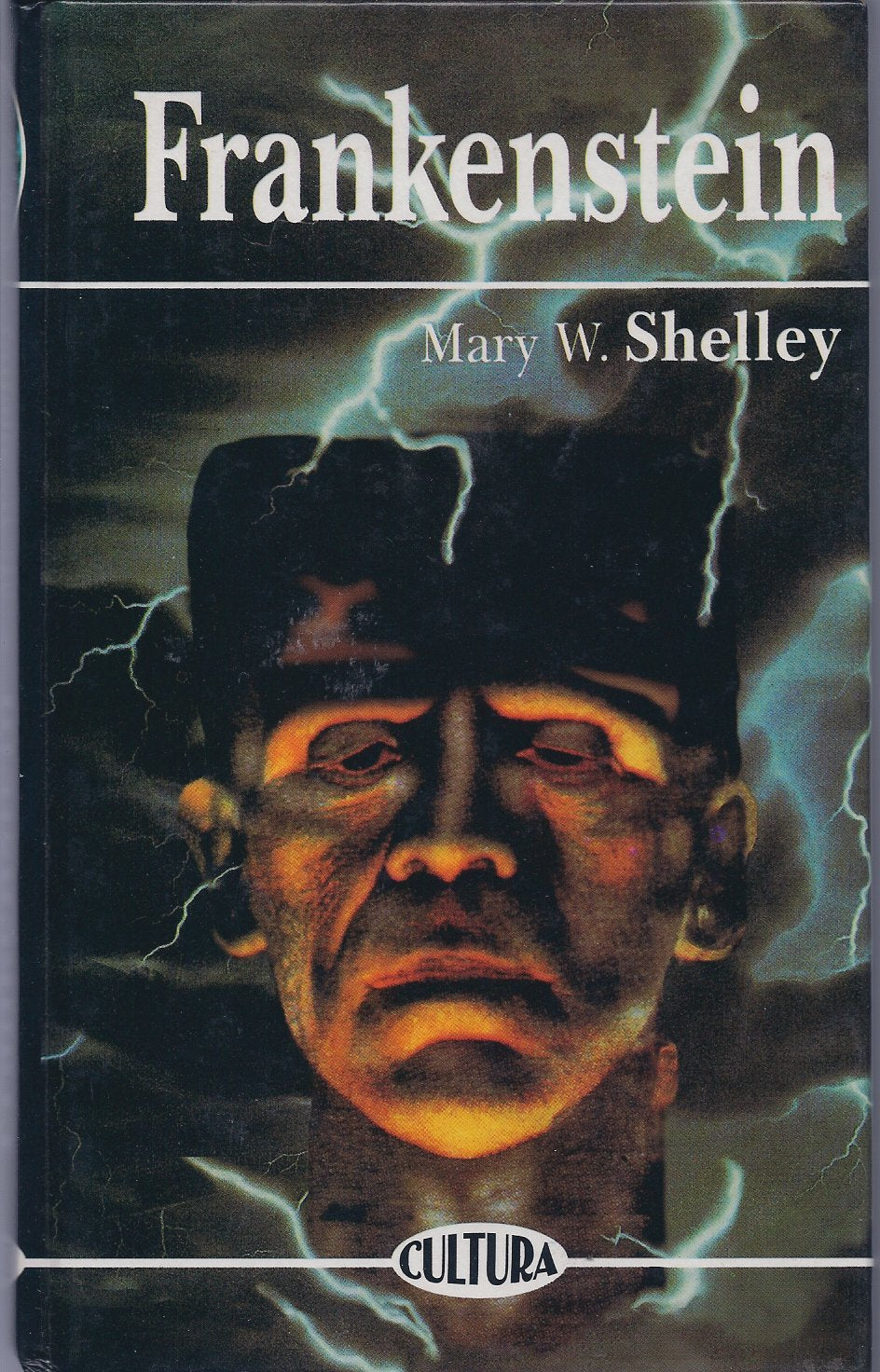 Frankenstein o El moderno Prometeo book
