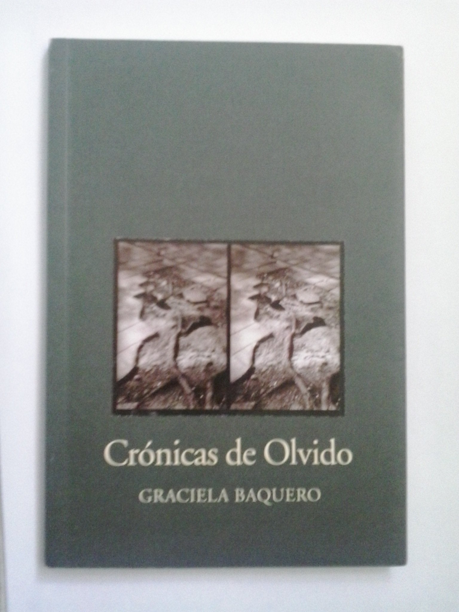 Crãnicas de Olvido (Sirena - PoesÕa) Books