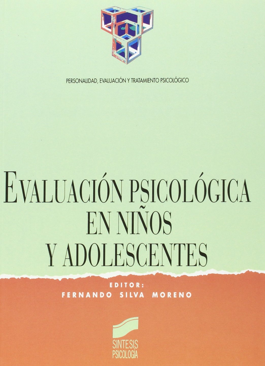 Evaluacion Psicologica En Nios y Adolescentes book