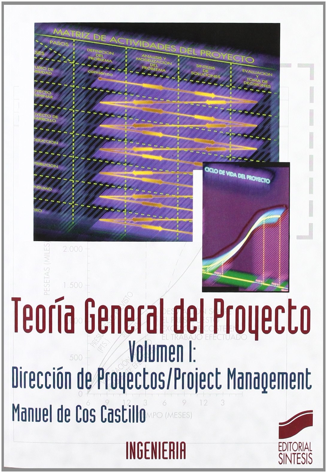 Teoría general del proyecto (Síntesis ingeniería. Ingeniería industrial, Band 2) Business & Technology