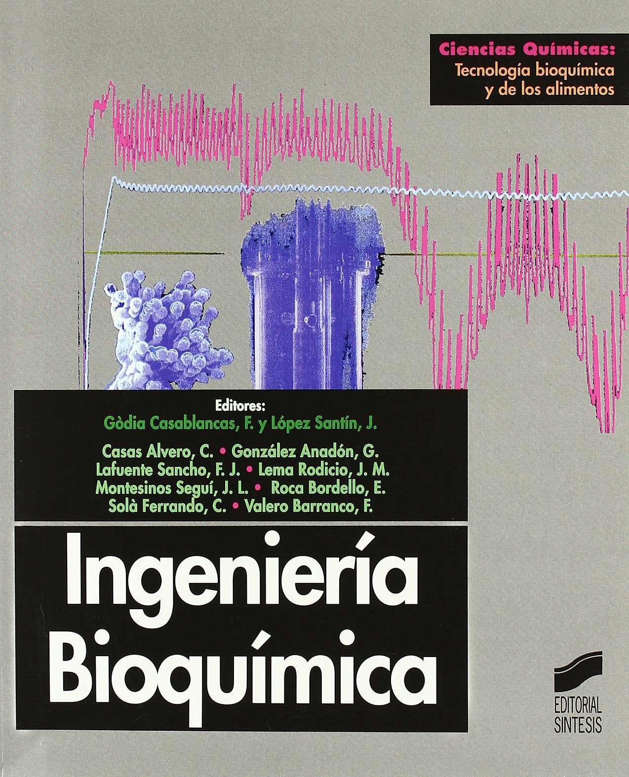 Ingeniería bioquímica (Ciencias químicas. Tecnología bioquímica y de los alimentos, Band 30) Natural Sciences