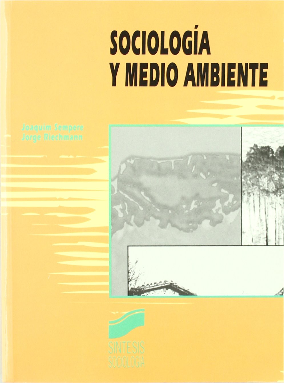 Sociología y medio ambiente (Síntesis sociología, Band 4) Philosophy