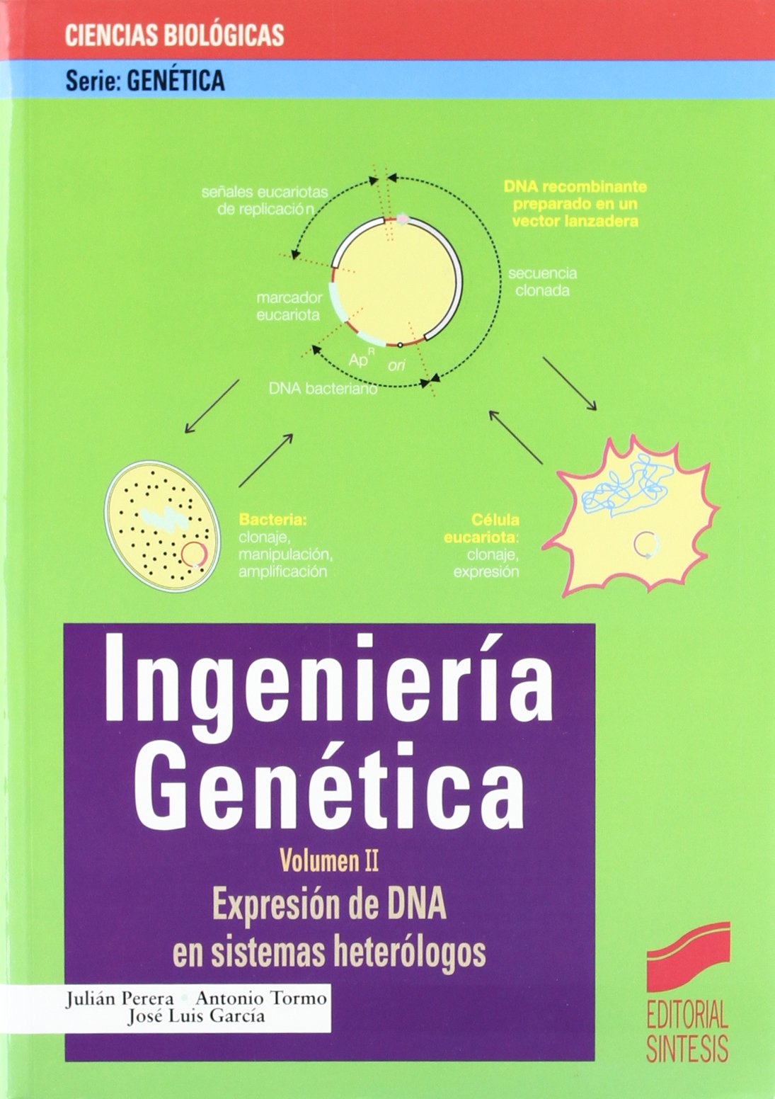 Expresión de DNA en sistemas heterólogos Medicine