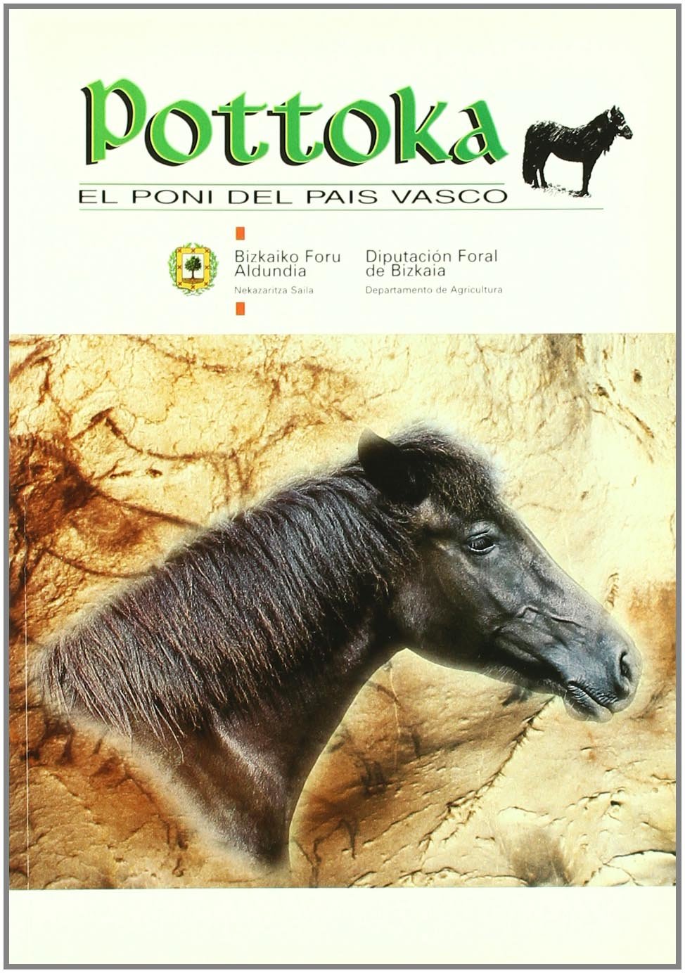 POTTOKA. PONI DEL PAIS VASCO Medicine