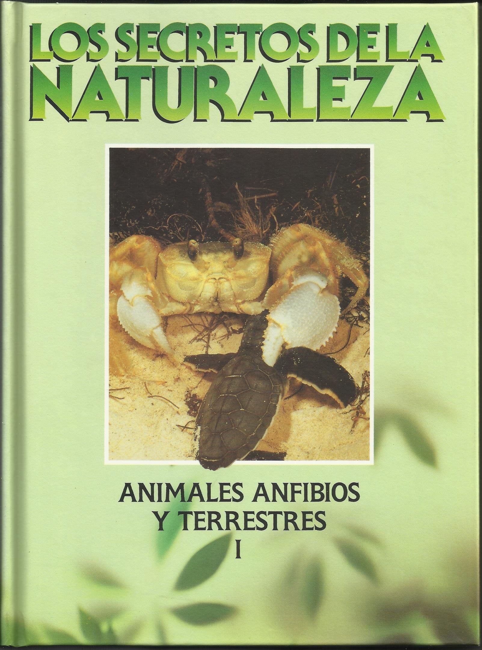 Secretos de la naturaleza,los.animales anfibios y terrestres. book