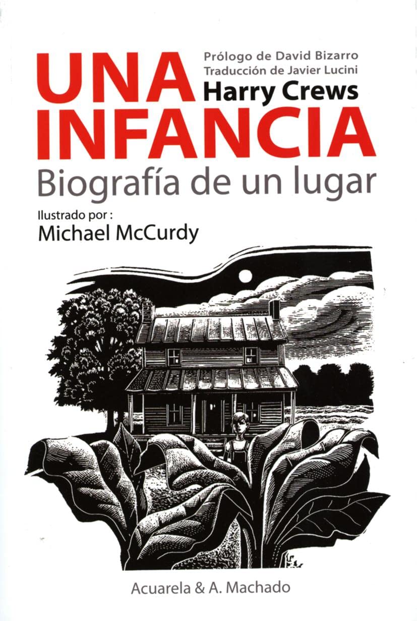 Una infancia: biografía de un lugar (Acuarela, Band 41) Contemporary literature