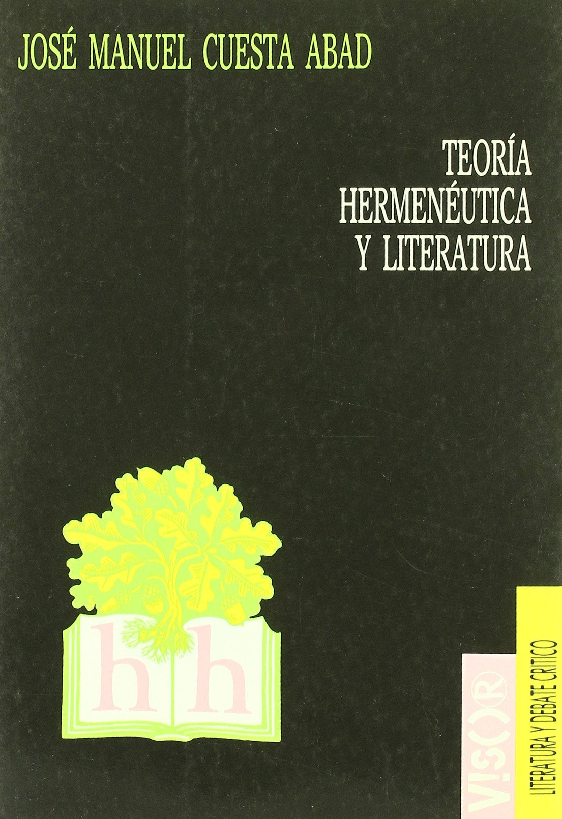 Teoría hermenéutica y literatura: El Sujeto del Texto (Visor, Literatura y Debate Critico, Band 10) Social Sciences