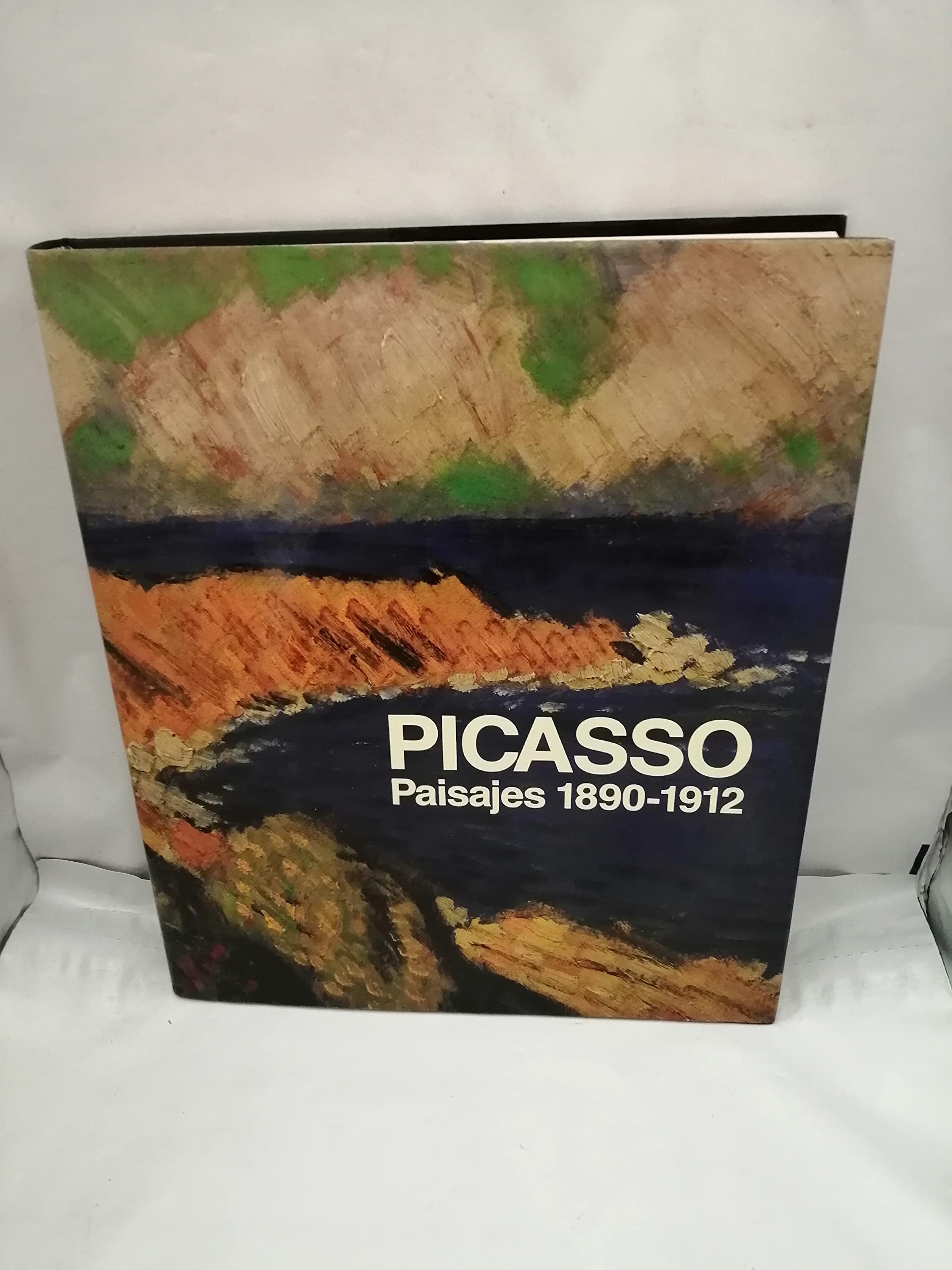 Picasso : paisajes, 1890-1912 book