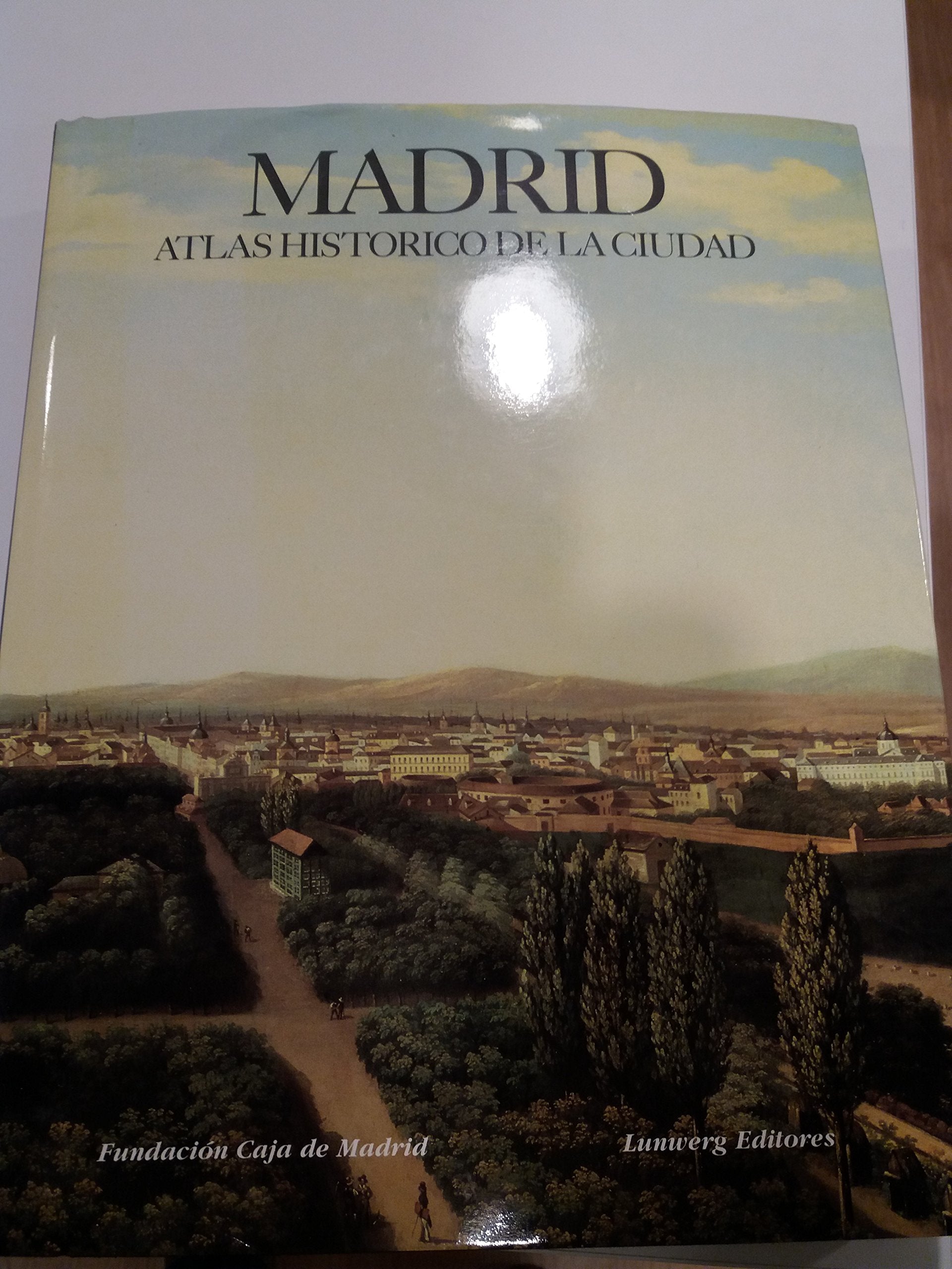 Madrid : atlas historico de la ciudad, siglos IX-XIX vol.I book