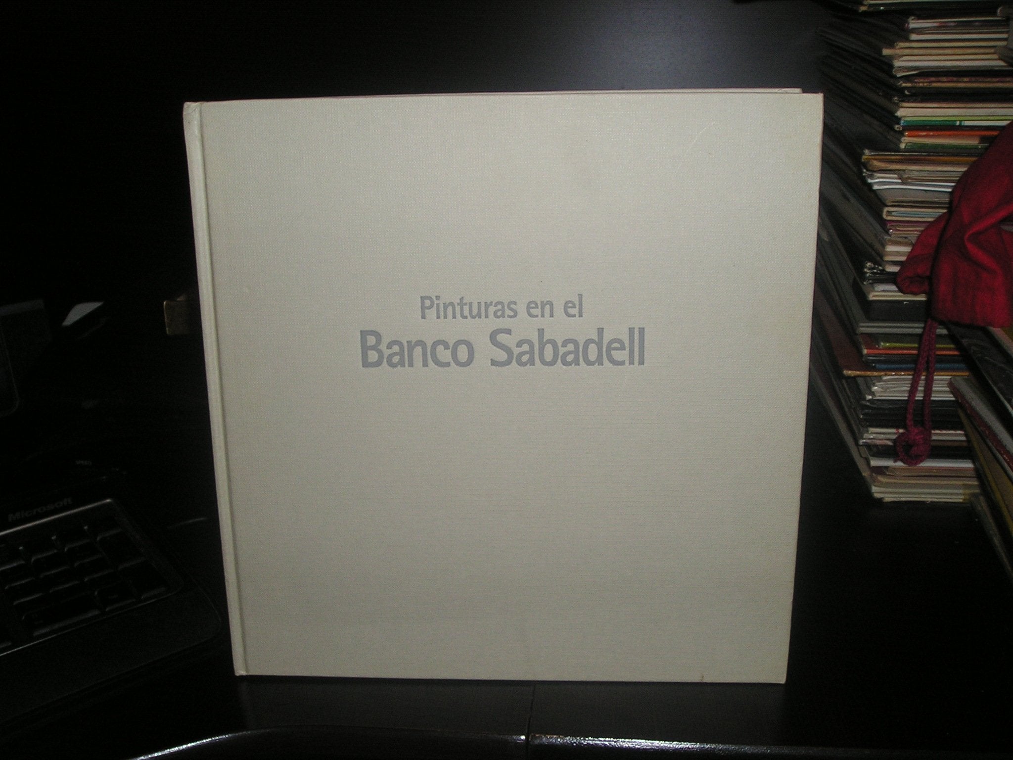 PINTURAS EN EL BANCO SAABADELL book
