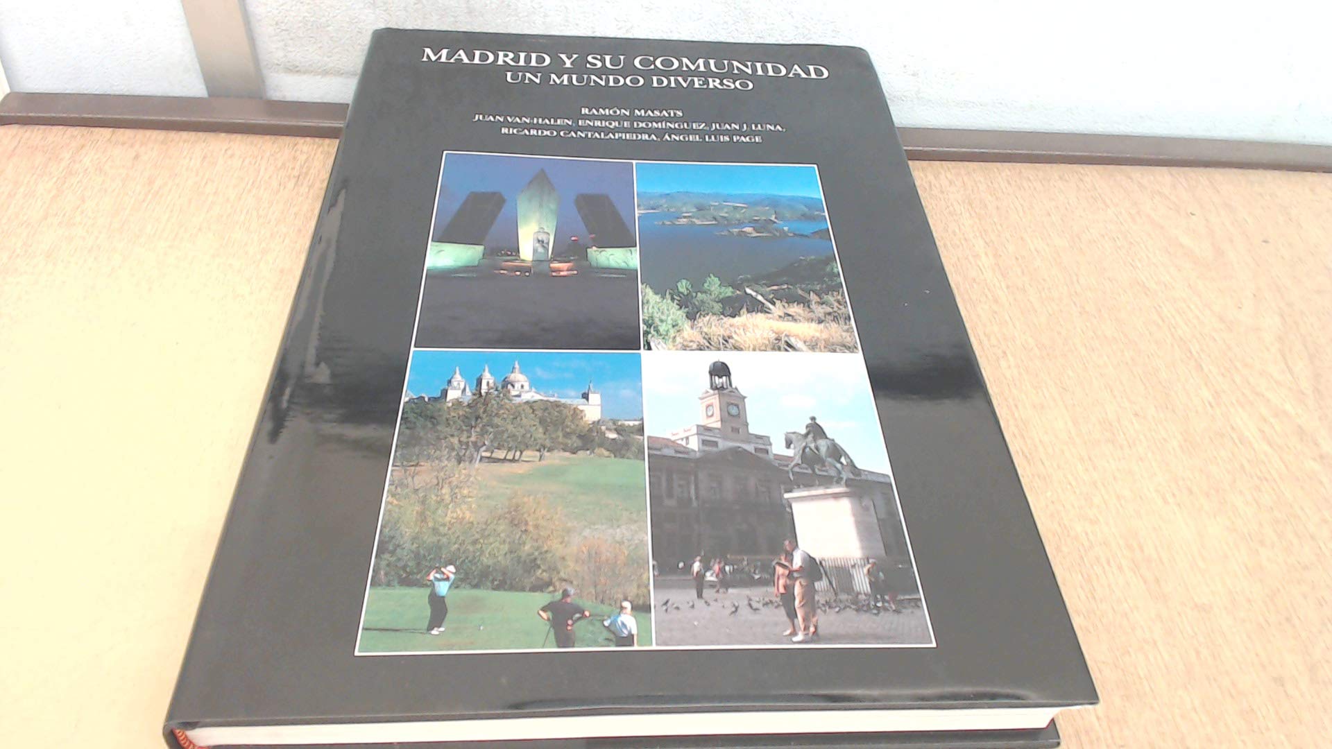 Madrid y su comunidad. un mundo diverso (cast-ing) book