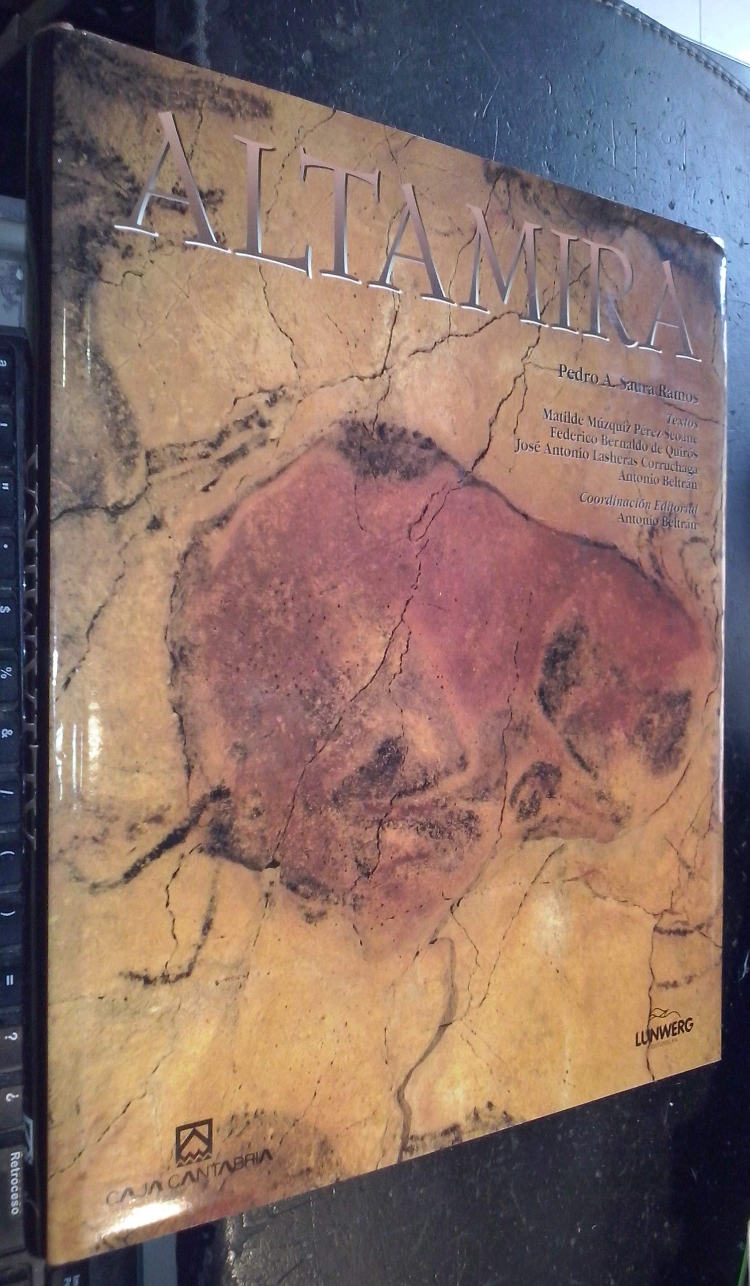 Altamira ed lunwerg (84 7782 493 2) Books