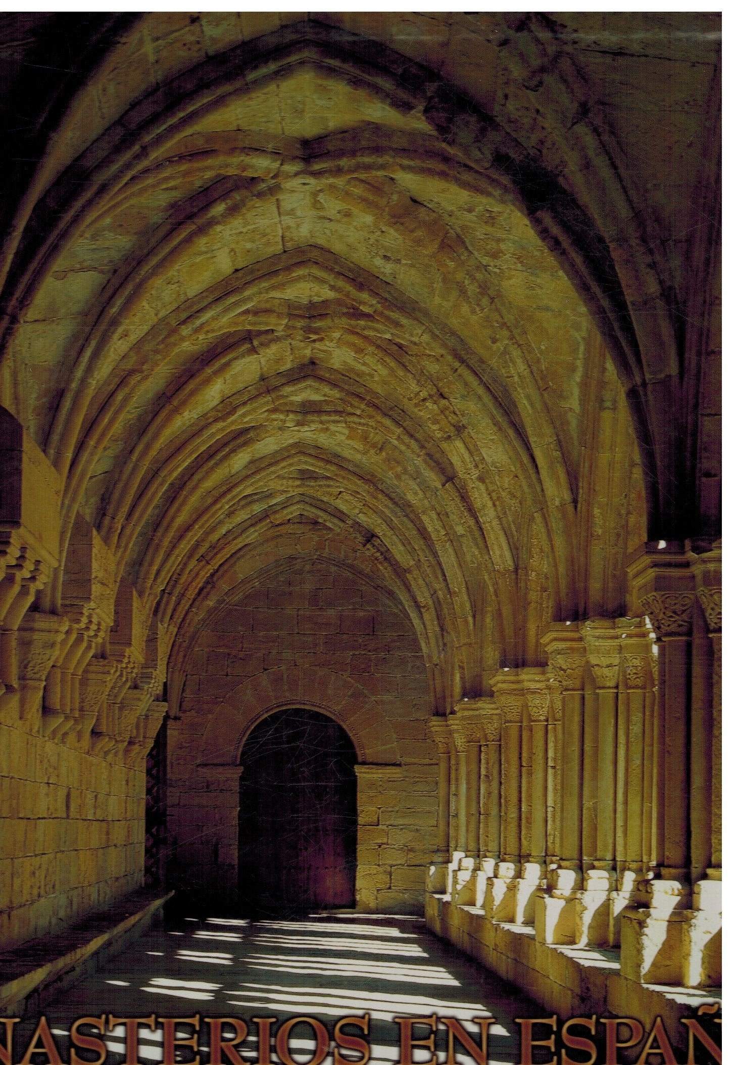 Monasterios en España : arquitectura y vida monástica book