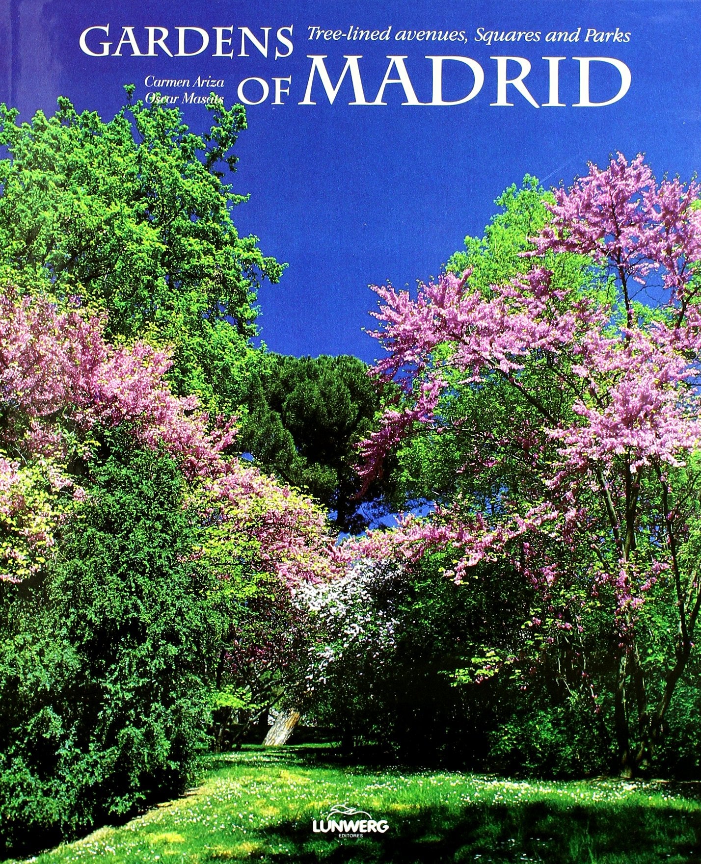 Jardines de Madrid. Paseos arbolados, plazas y parques book