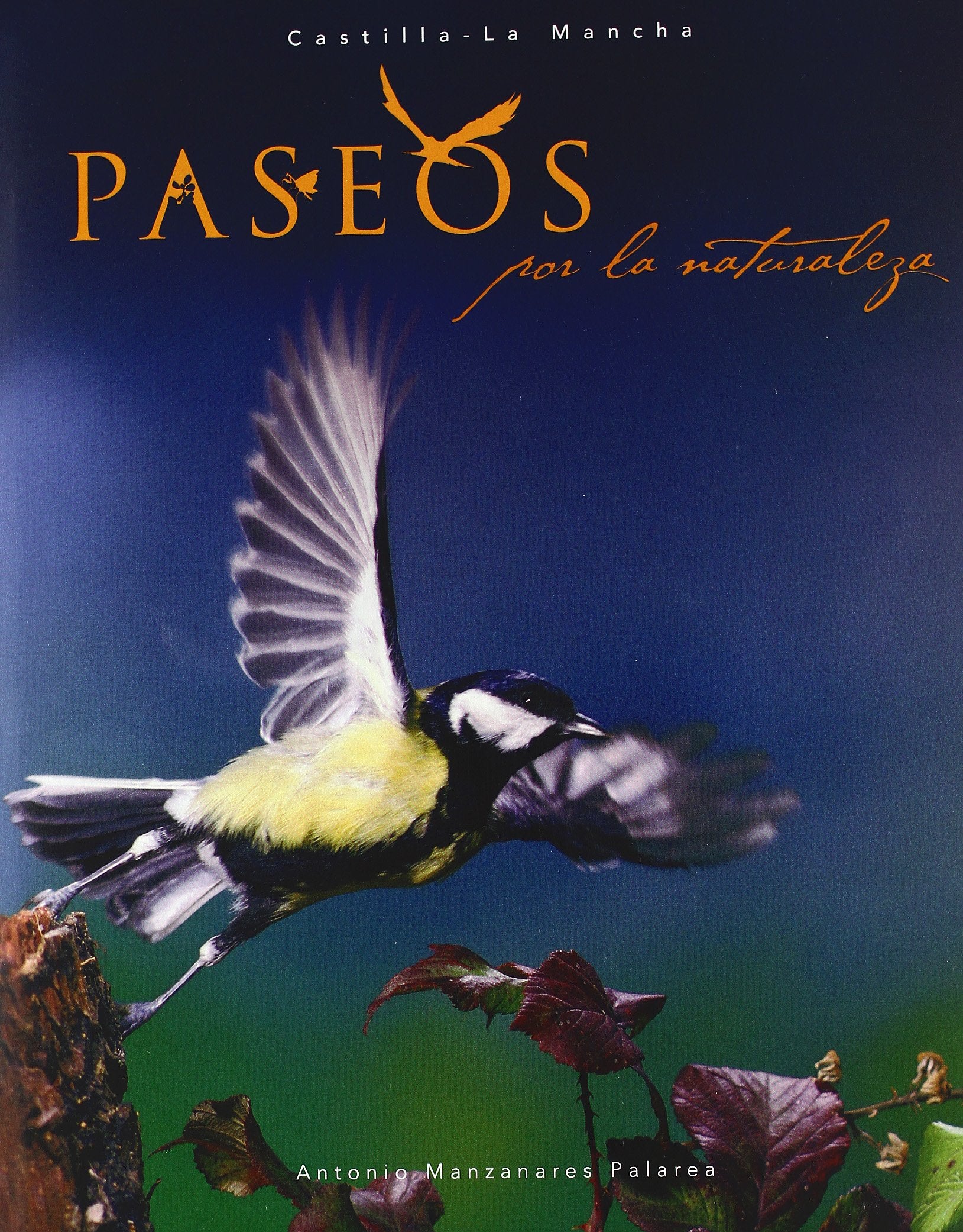 Paseos por la naturaleza Mathematics