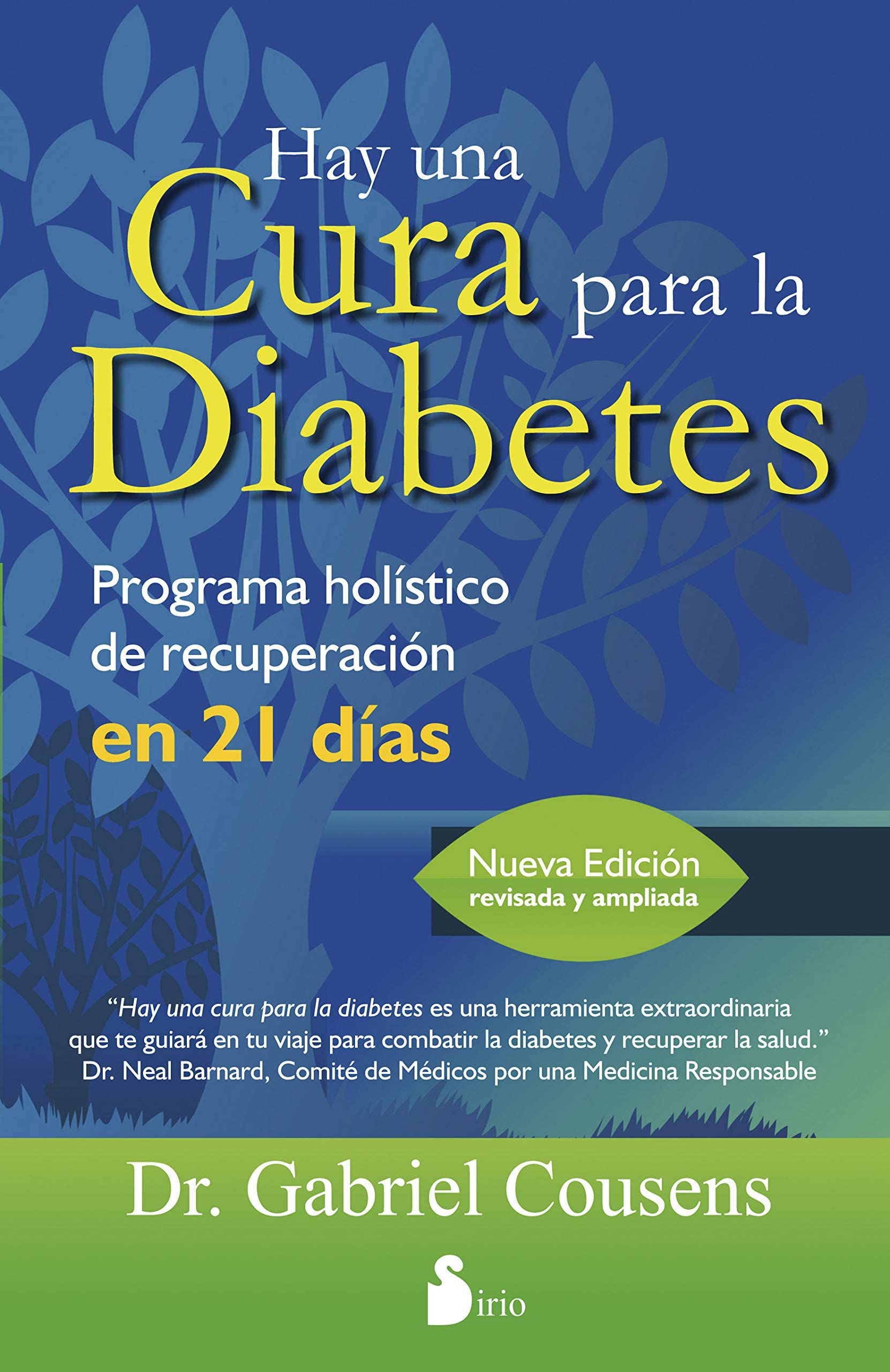 Hay una cura para la diabetes / There Is a Cure for Diabetes book
