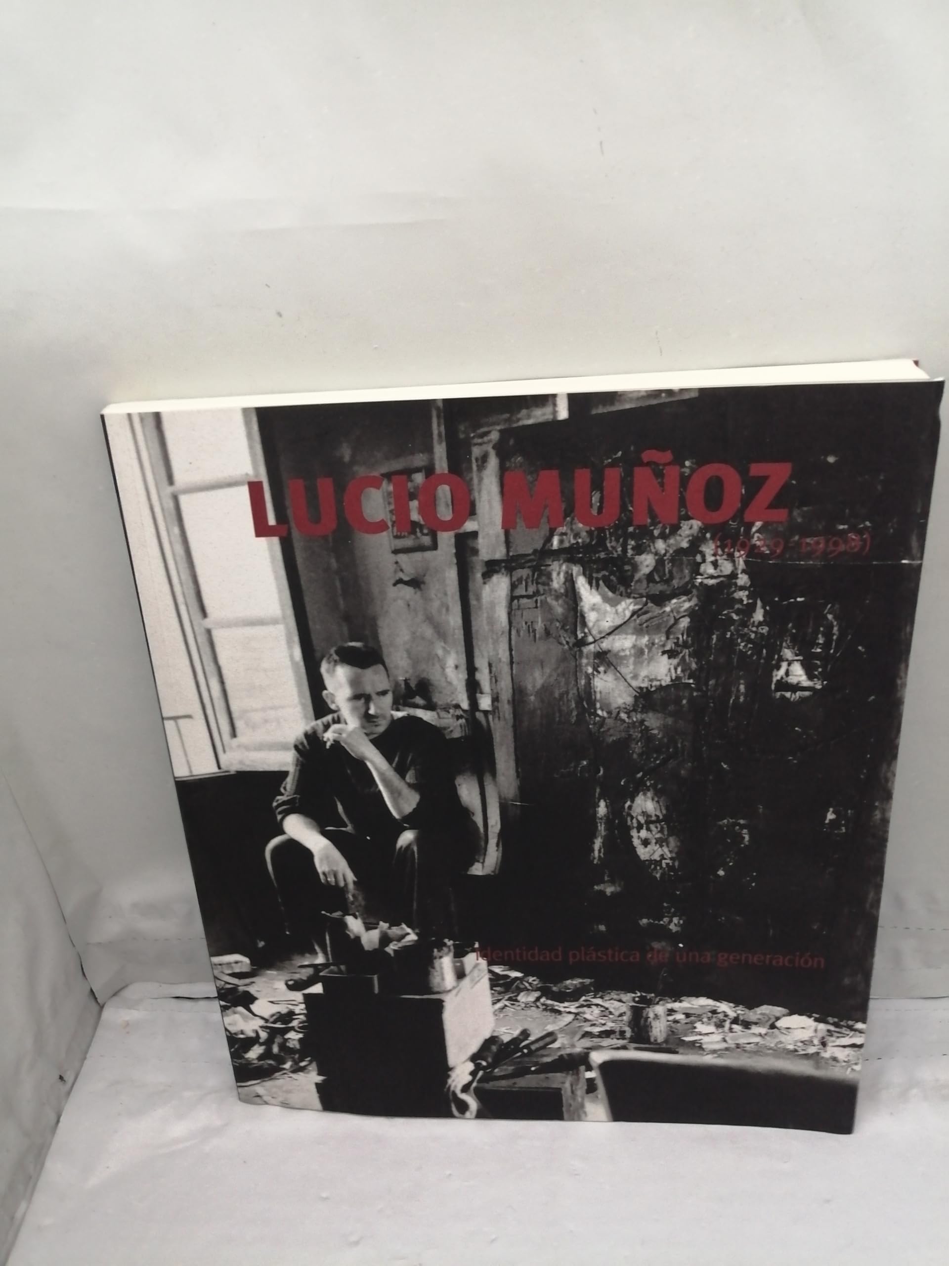 Luvio Muñoz 1929-1998 identidad plastica de una generacion (cat.exposicion) book