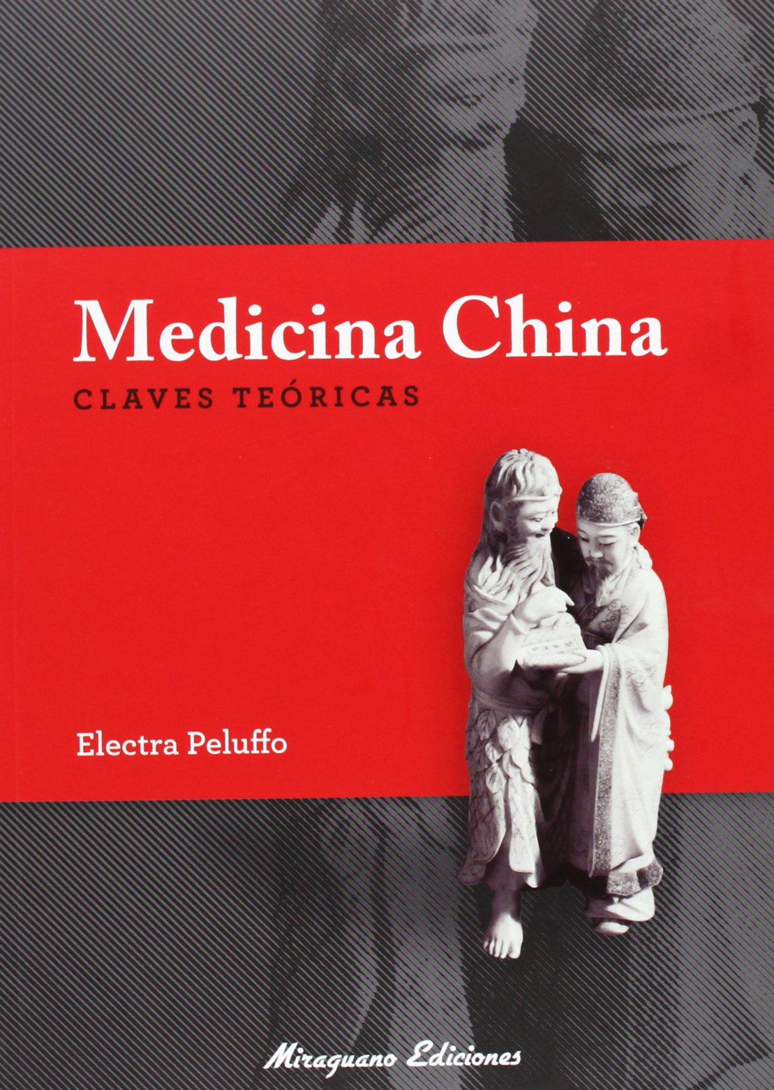 Medicina china : claves teóricas Learning & Reference