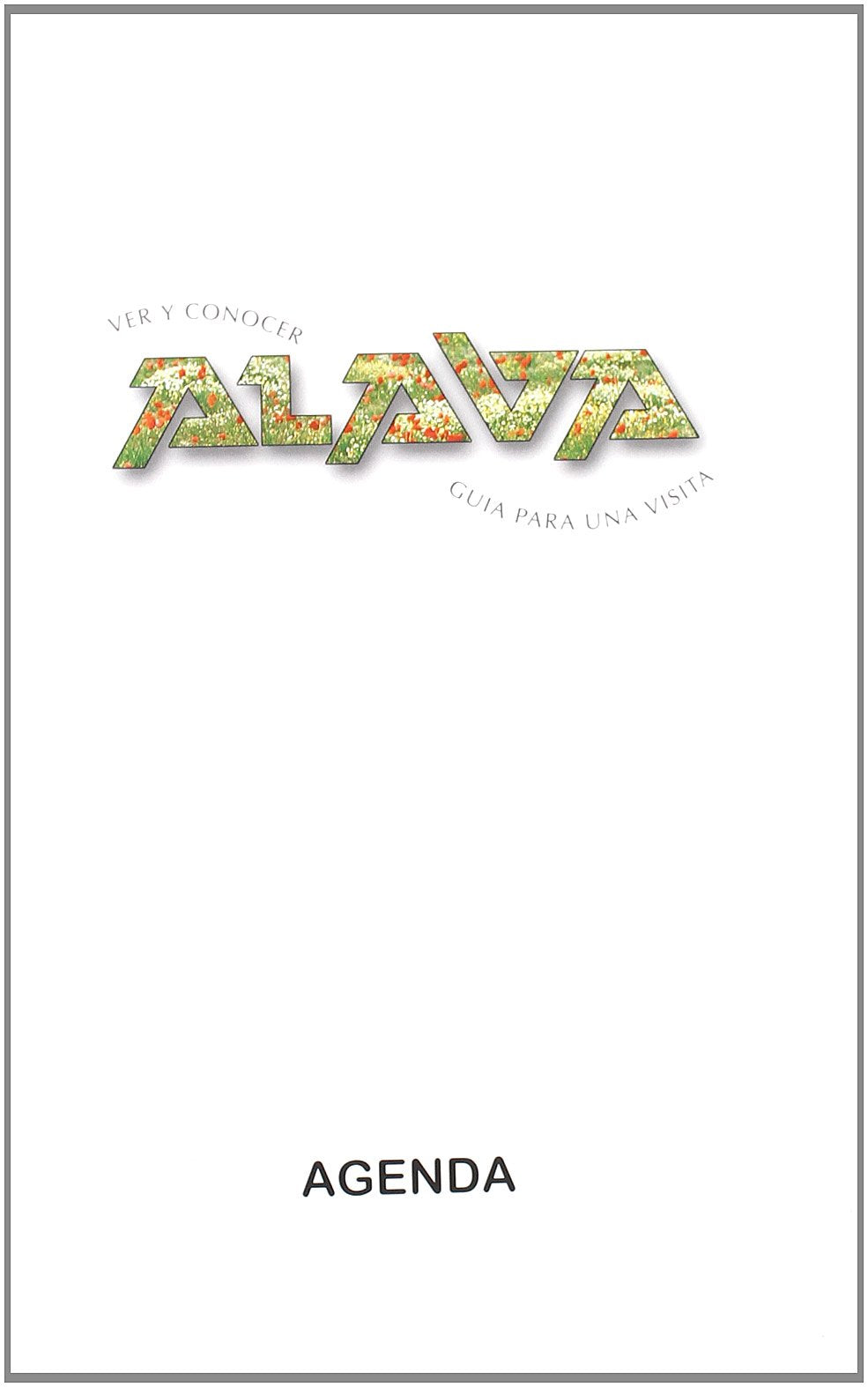 Ver y conocer alava. guia para unavisita book