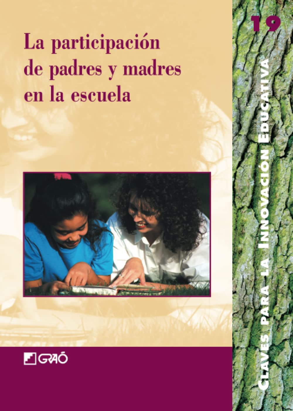 La participación de los padres y madres en la escuela book
