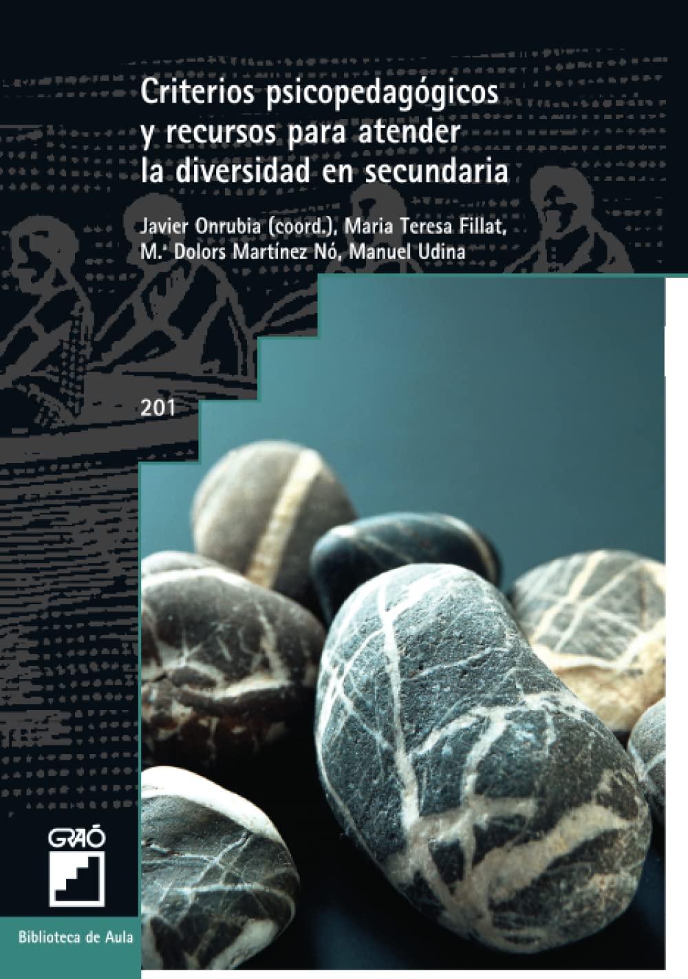 Criterios psicopedagógicos y recursos para atender la diversidad en secundaria (Atención a la diversidad / Ciencias Experimentales / Lengua / Matemáticas, Band 201) Education & Training