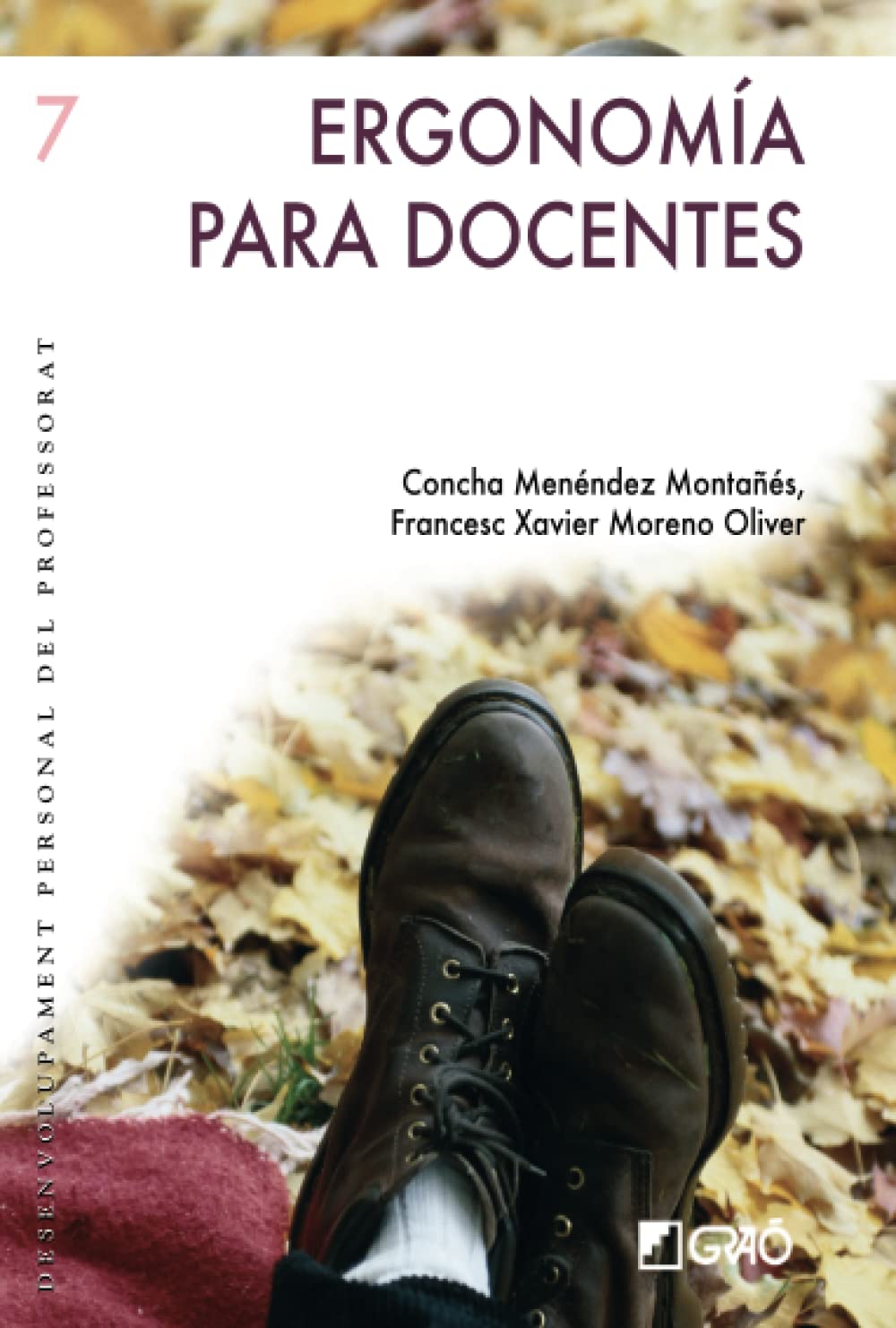 Ergonomía para docentes: Análisis del ambiente de trabajo y prevención de riesgos (Desarrollo personal del profesorado, Band 7) Education & Training