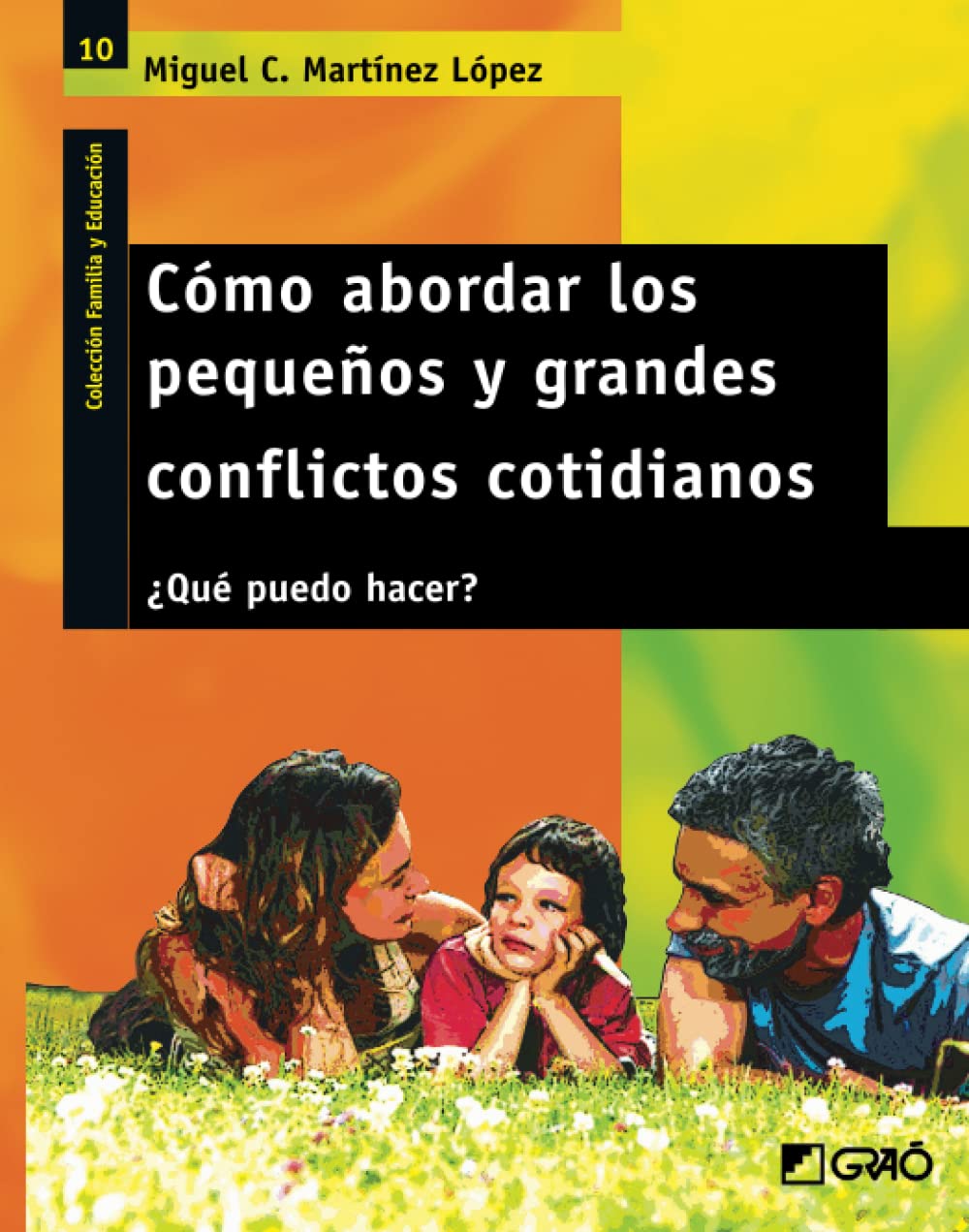 Cómo abordar los pequeños y grandes conflictos cotidianos: ¿Qué puedo hacer? book