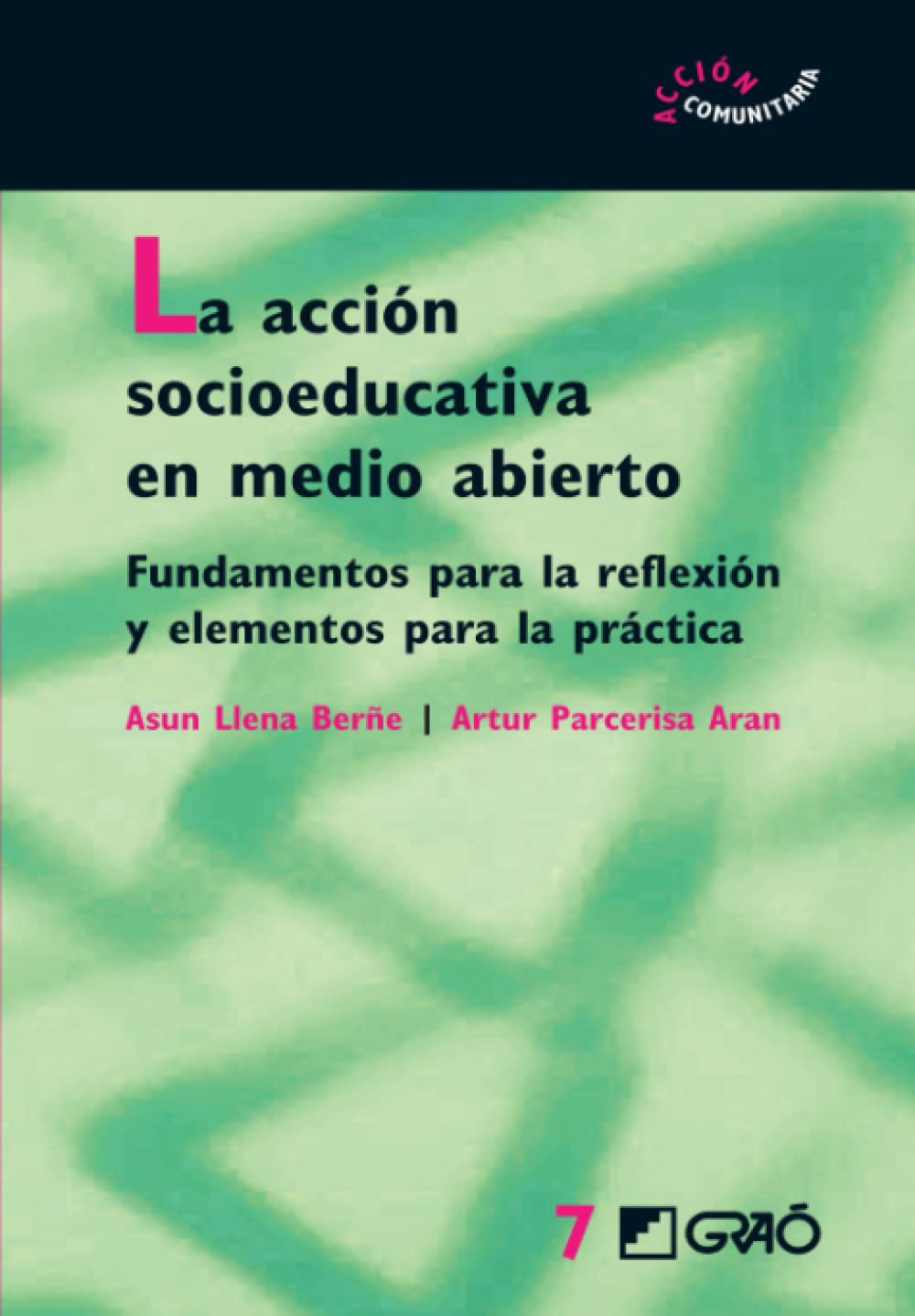 La acción socioeducativa en medio abierto: Fundamentos para la reflexión y elementos para la práctica (Acción Comunitaria y Socioeducativa, Band 7) Foreign Languages ​​& Dictionaries