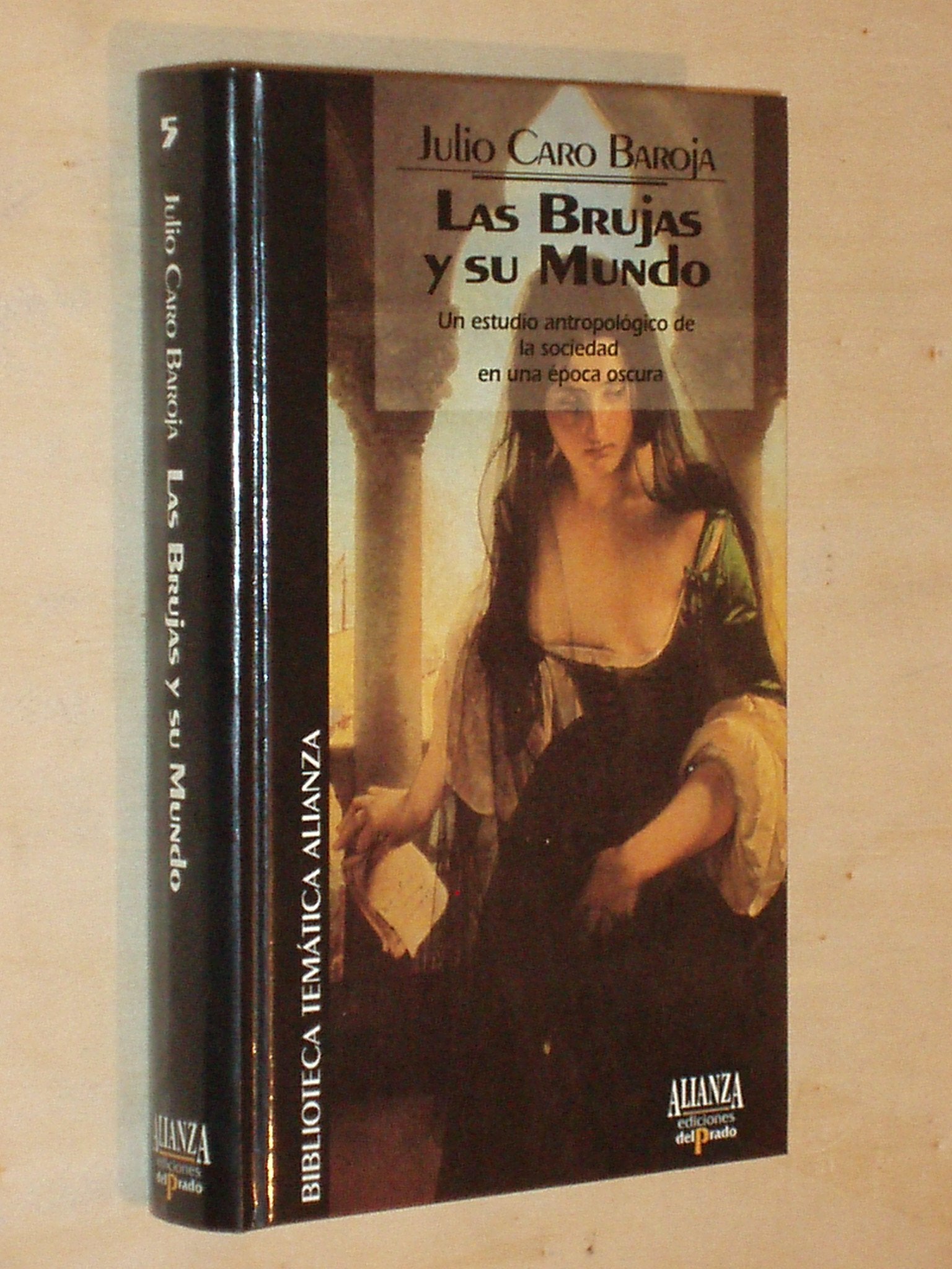 Las brujas y su mundo book