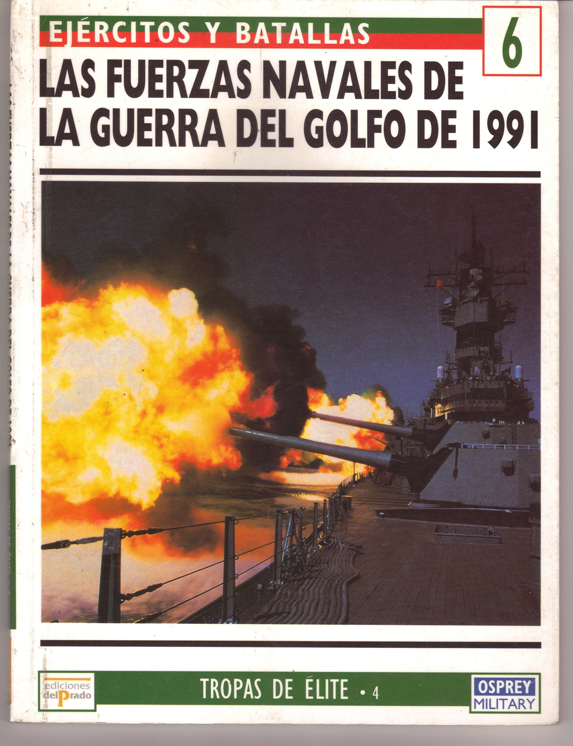 Fuerzas navales Guerra golfo book