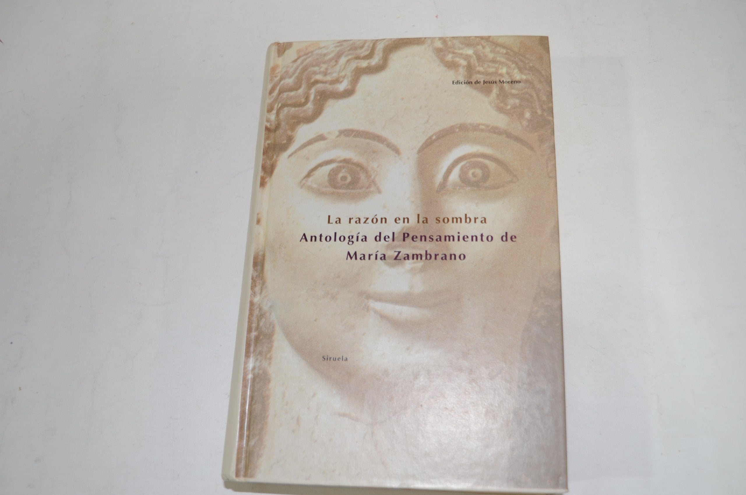 La Razon En La Sombra: Antologia Philosophy