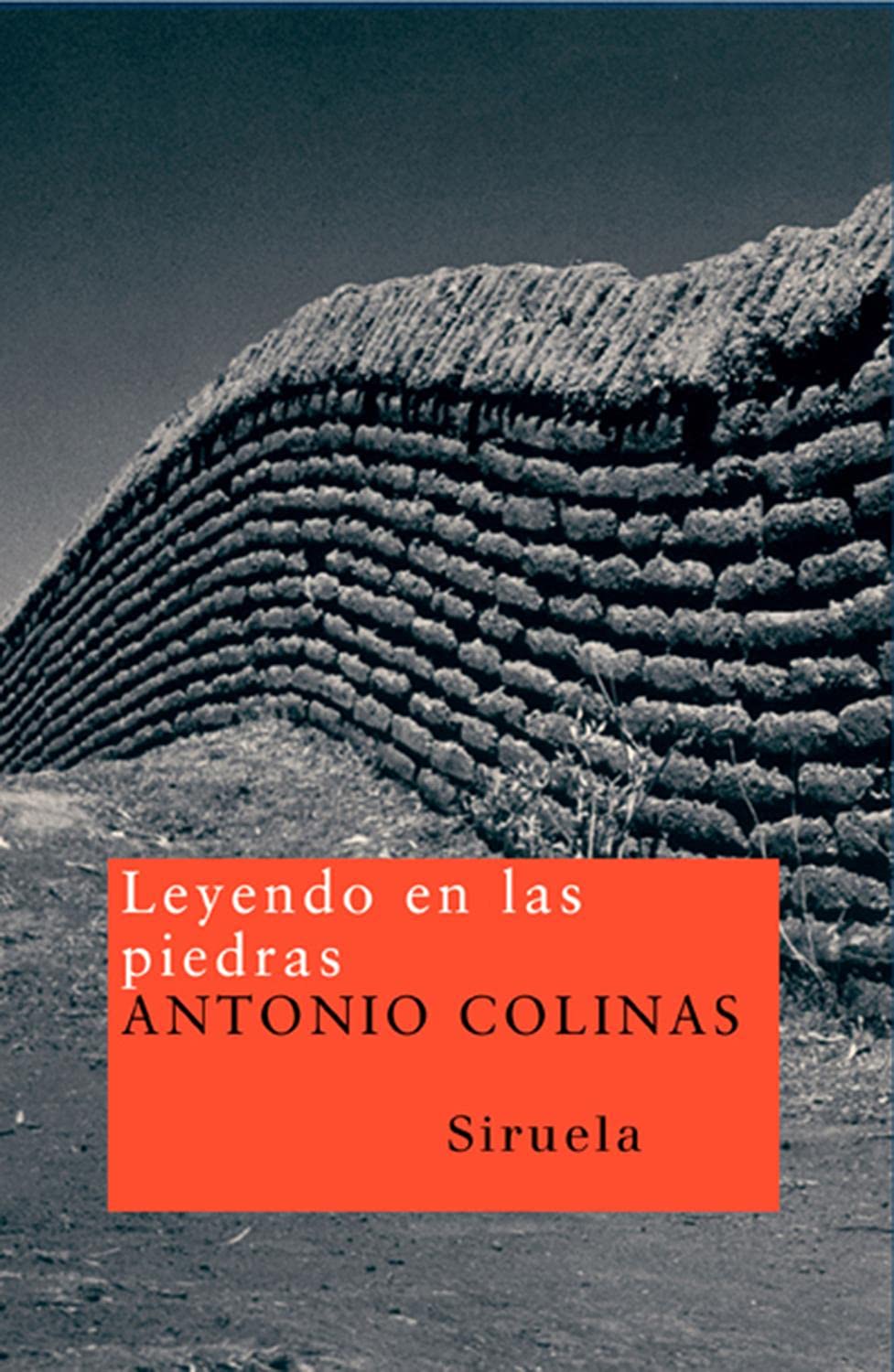 Leyendo en las piedras (Nuevos Tiempos, Band 86) Essays & Short Stories