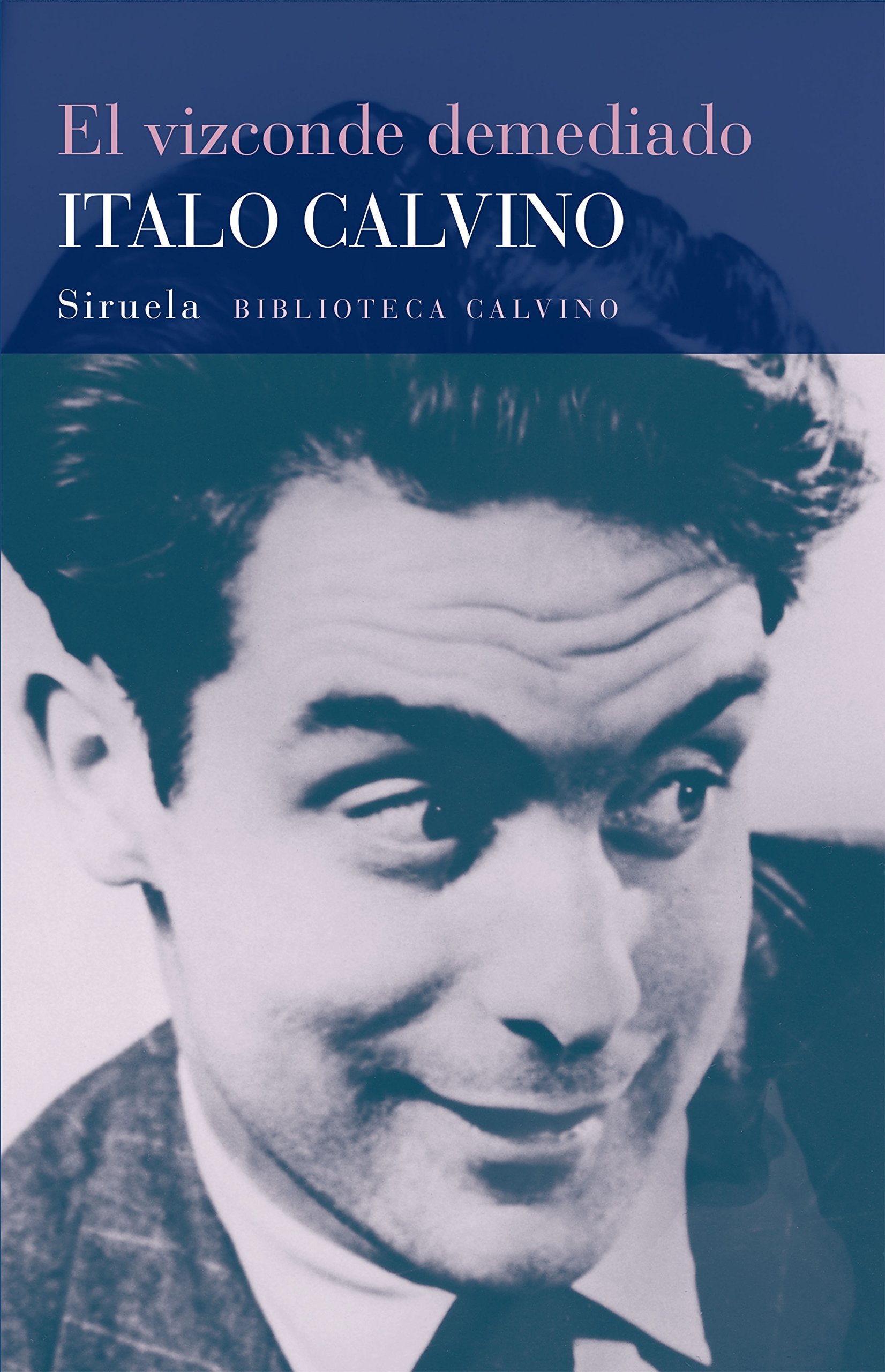 El vizconde demediado/ The Cloven Viscount book