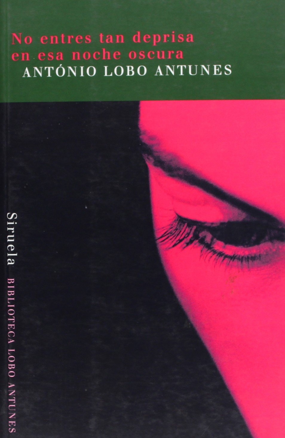 No entres tan deprisa en esa noche oscura/ Don't Go So Fast Into That Dark Night: Poema/ Poetry Study Guides