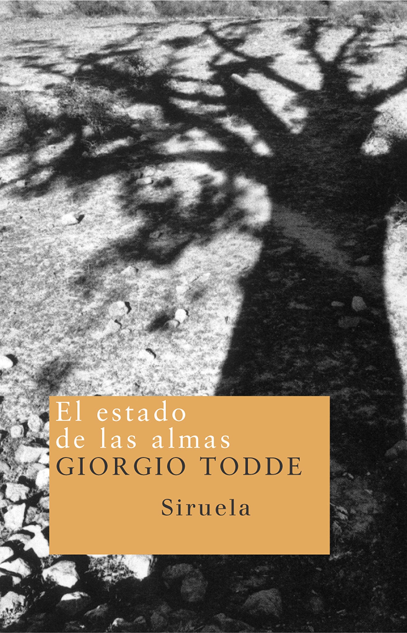 El estado de las almas (Nuevos Tiempos, Band 44) Contemporary literature