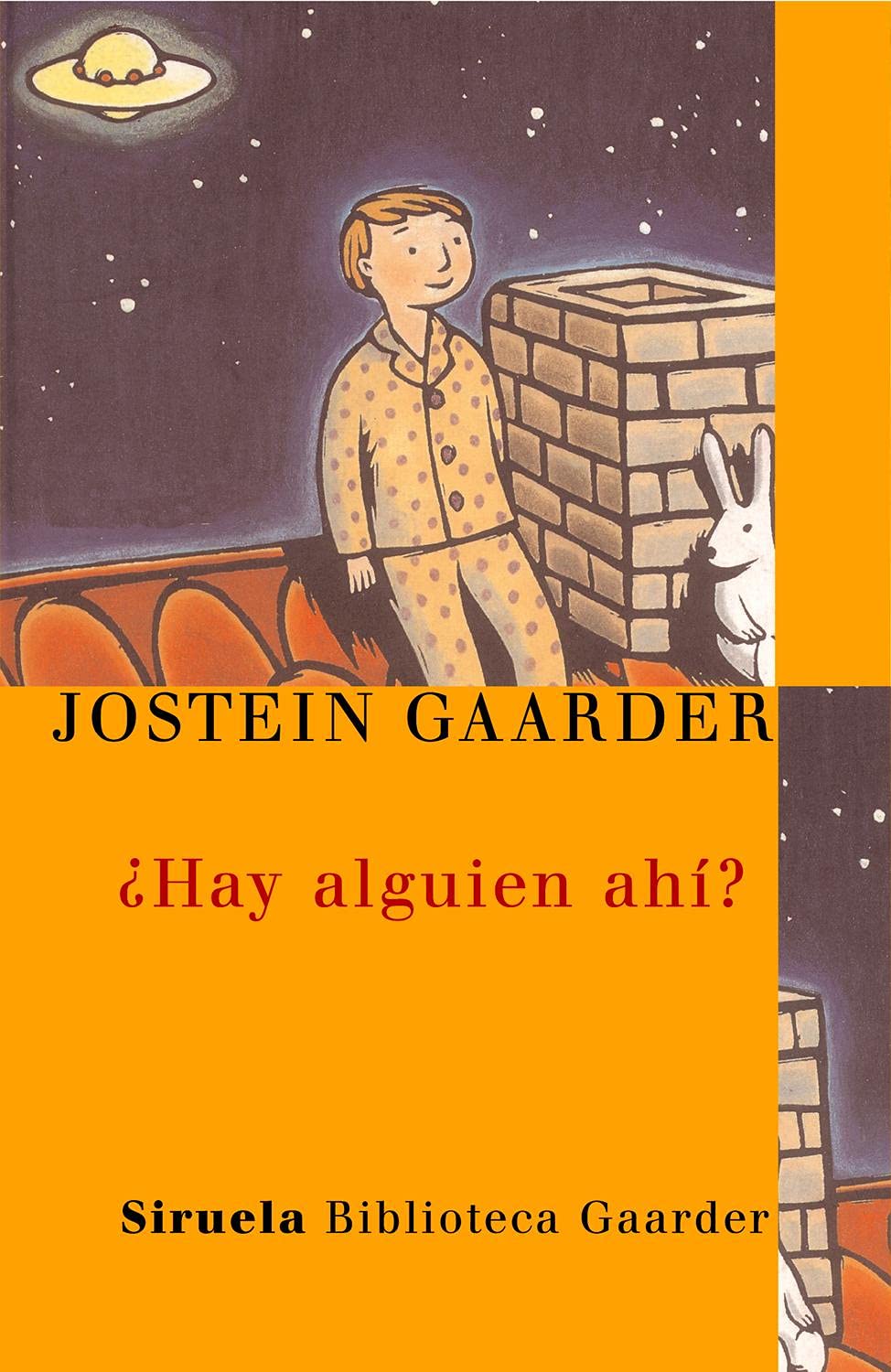 Hay alguien ahi?/ Is Anybody There? book
