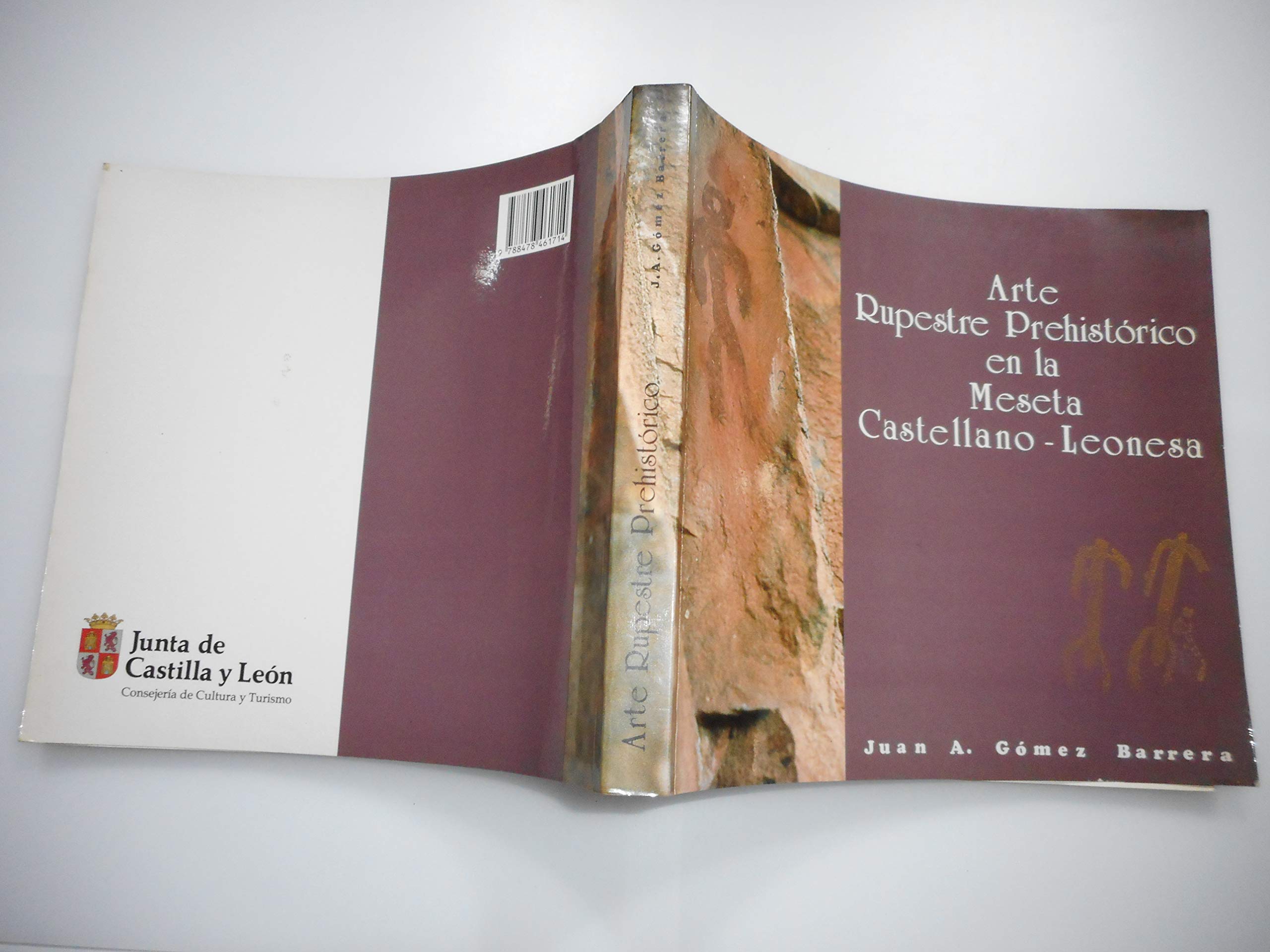 ARTE RUPESTRE PREHISTÓRICO EN LA MESETA CASTELLANO - LEONESA Books