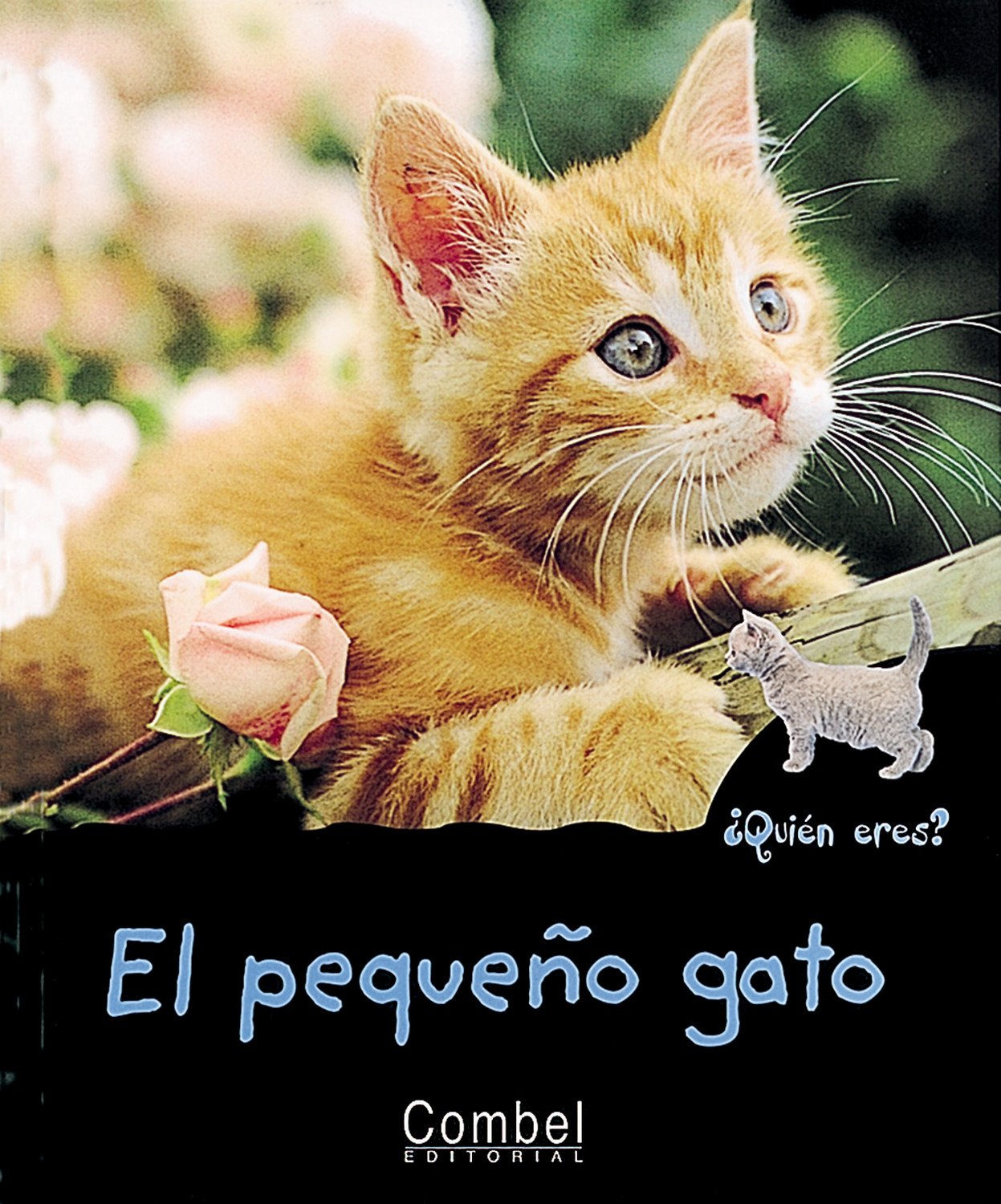 El Pequeno Gato / The Little Kitten book