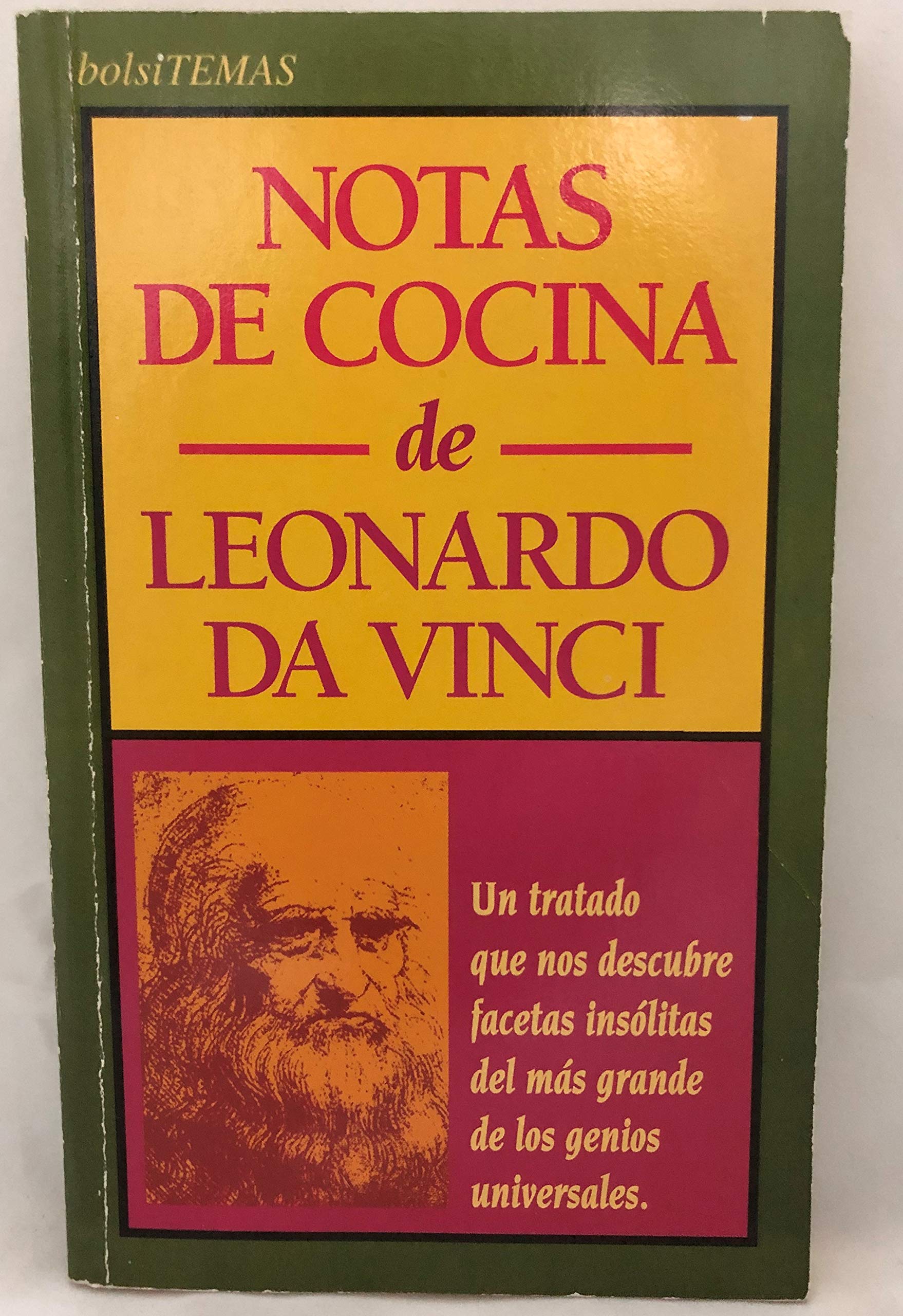 Notas de cocina de Leonardo da Vinci Books