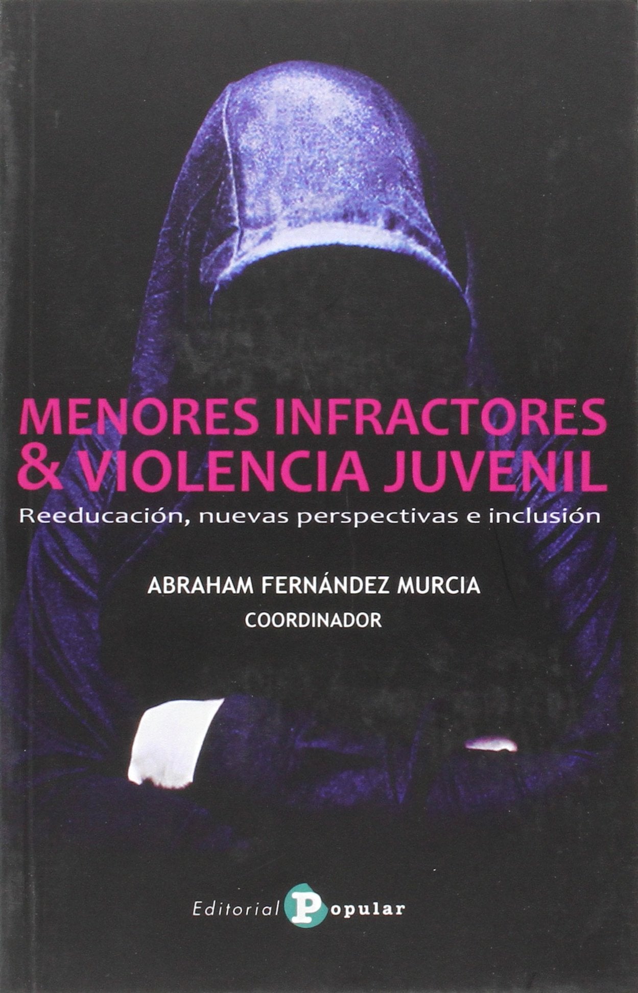 MENORES INFRACTORES Y VIOLENCIA JUVENIL: Reeducación, nuevas perspectivas e inclusión book