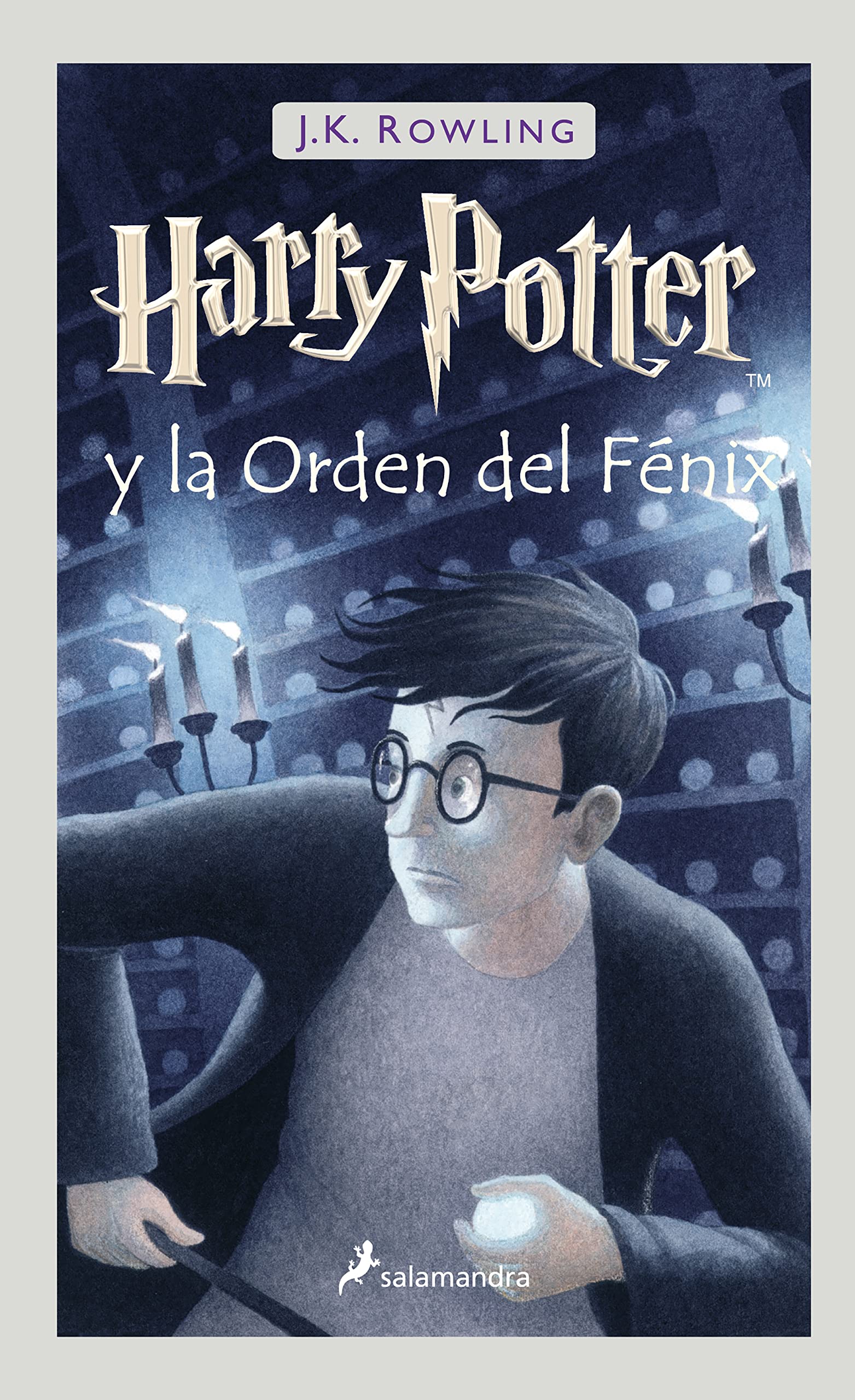 Harry Potter y la Orden del Fénix Contemporary literature