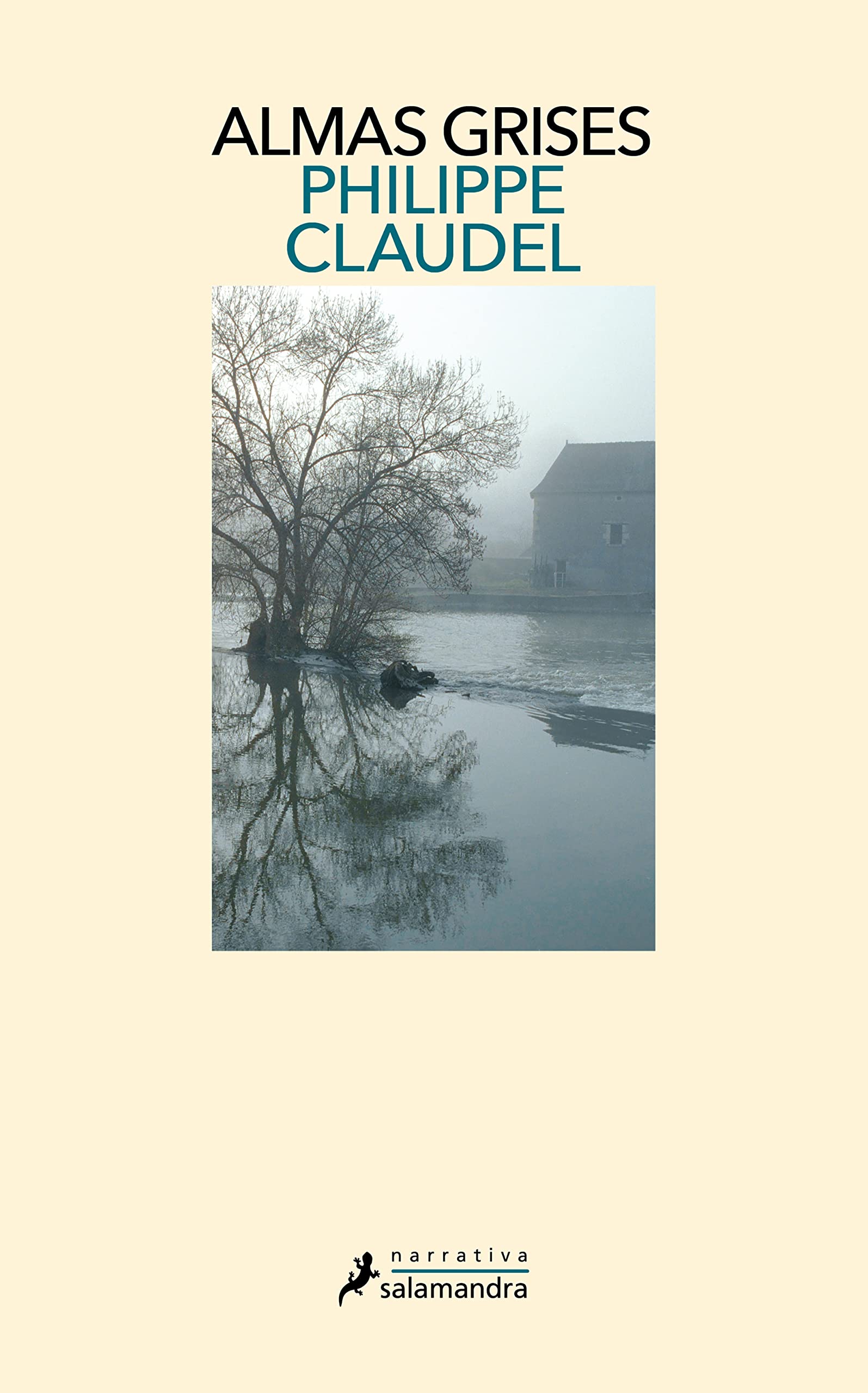 Almas Grises (Salamandra Narrativa) Contemporary literature