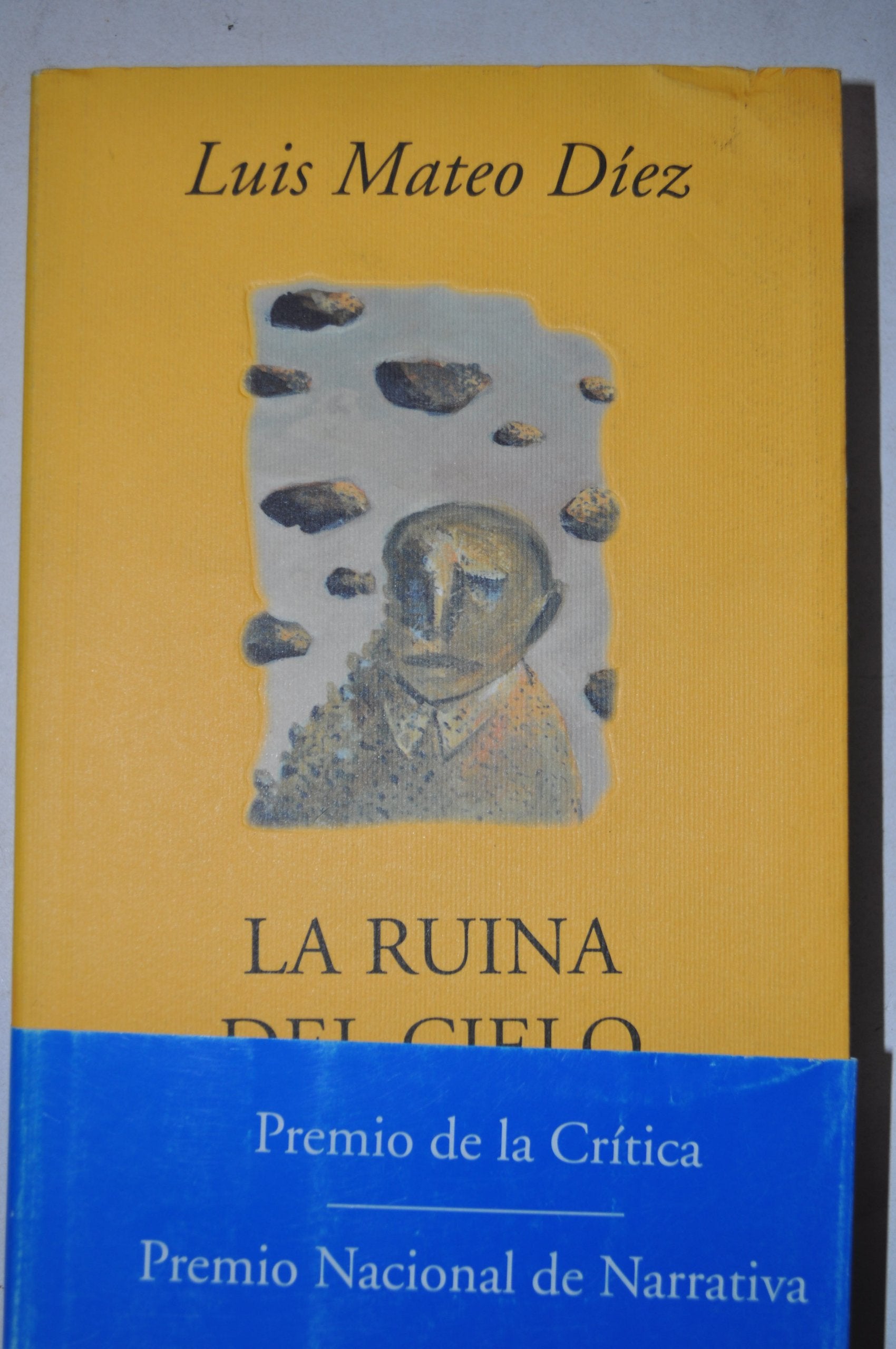 La ruina del cielo: Un obituario (Spanish Edition) Books