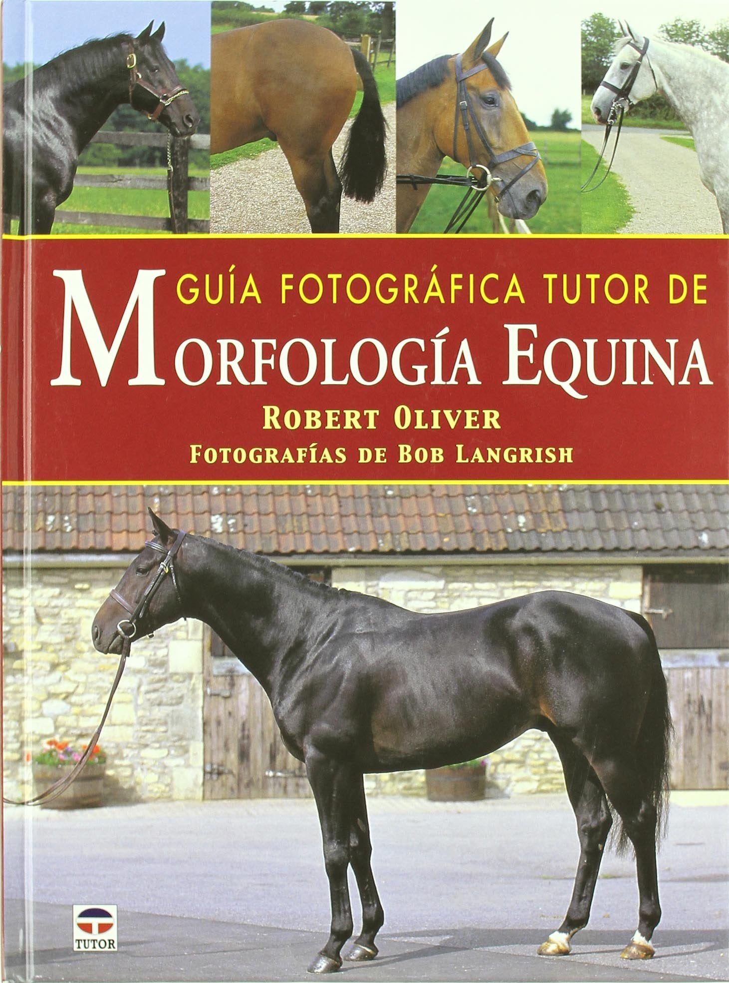 Guía fotográfica tutor de morfología equina Social Sciences