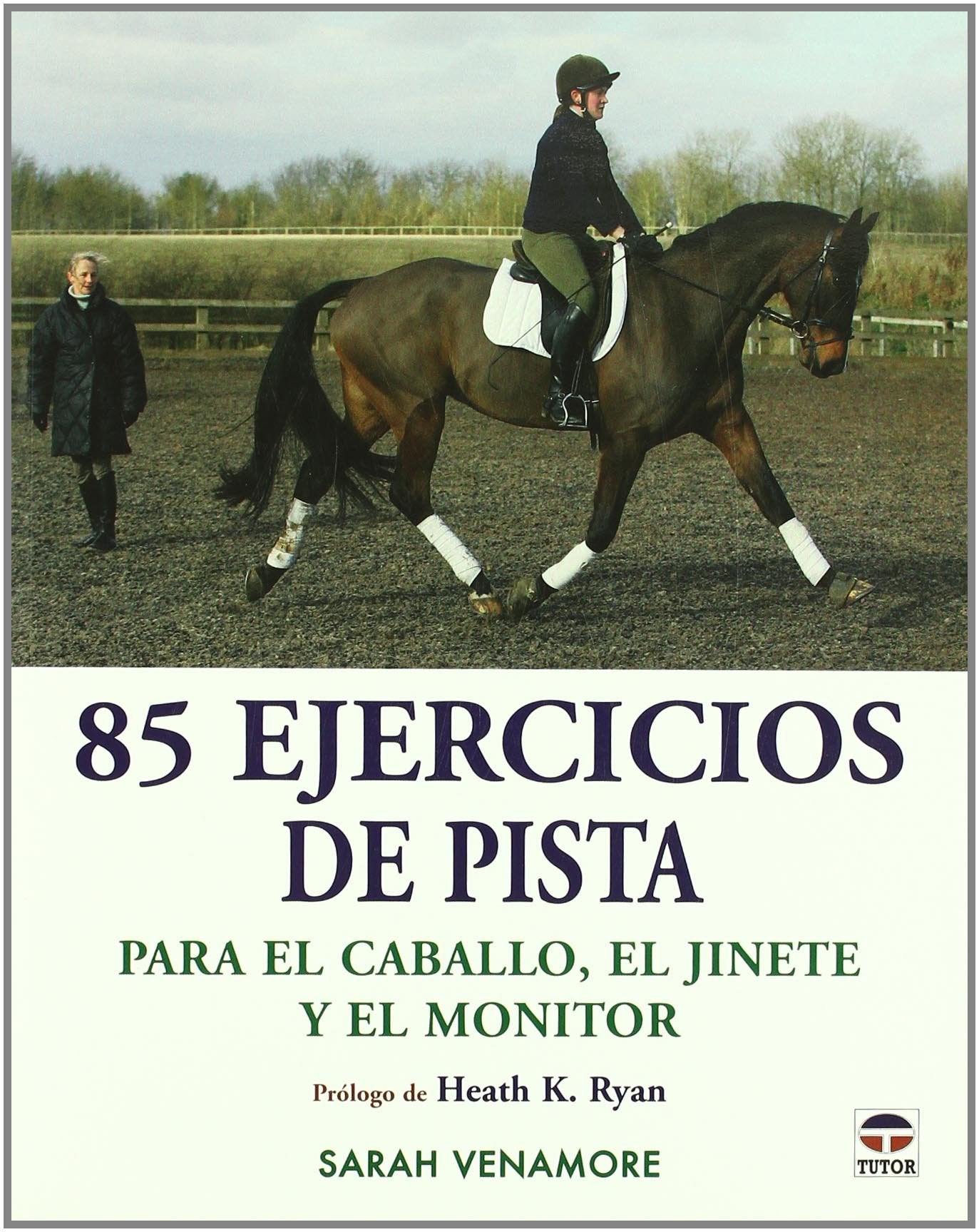 85 EJERCICIOS DE PISTA PARA EL CABALLO, EL JINETE Y EL ENTRENADOR book