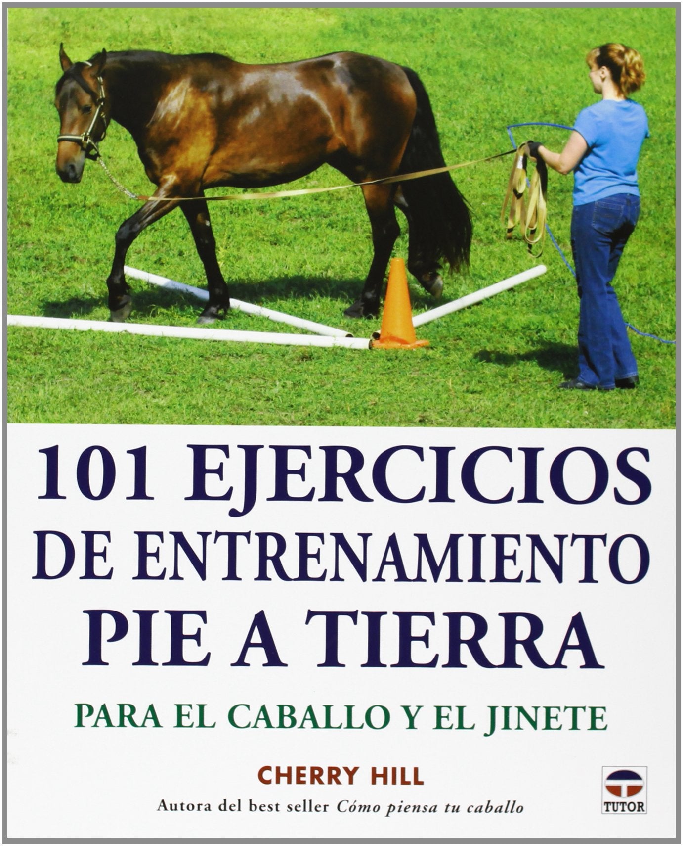 101 ejercicios de entrenamiento pie a tierra: Para el caballo y el jinete book